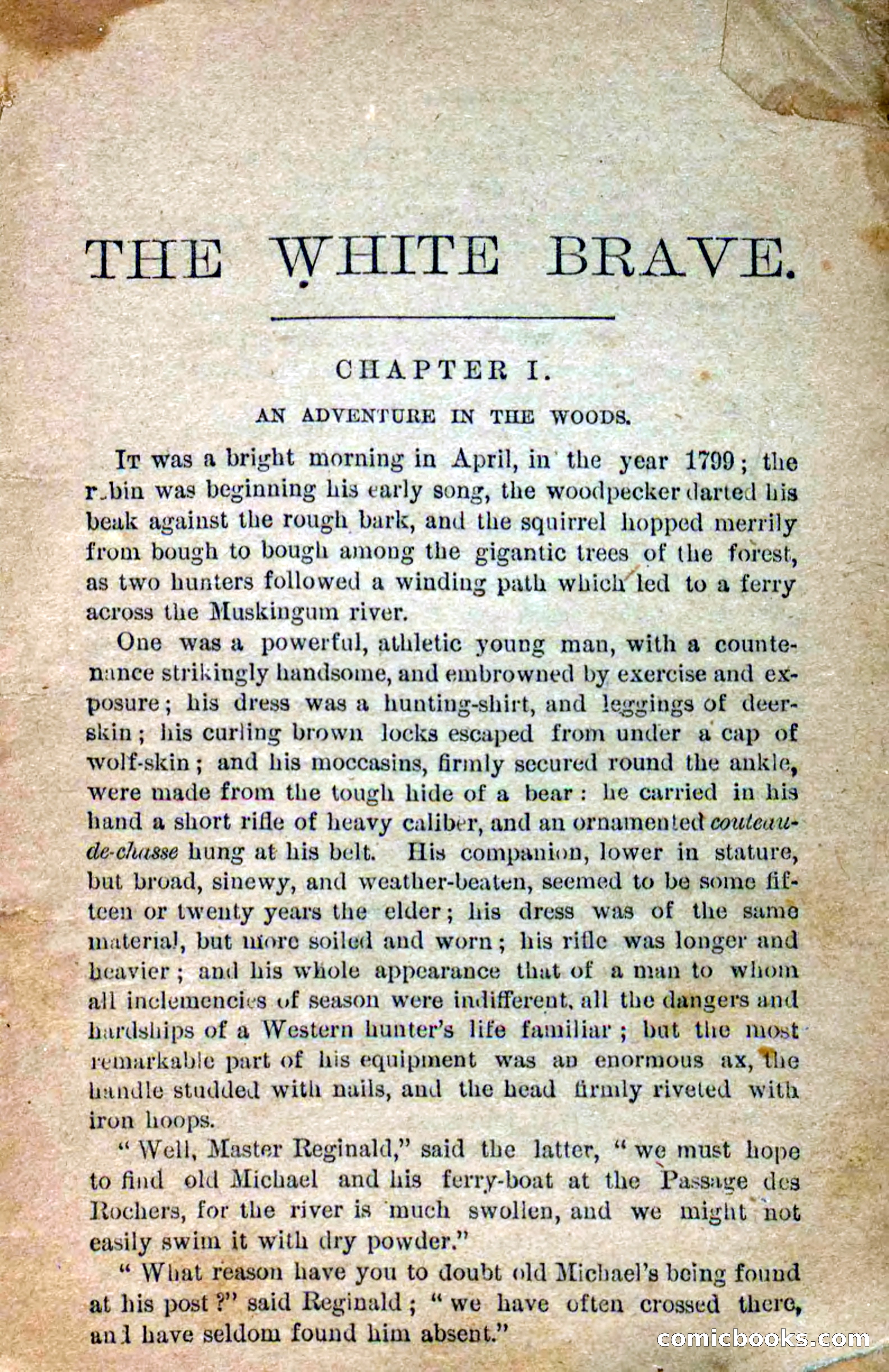Beadle's Dime Novels No. 258: The White Brave — page 7 of 100