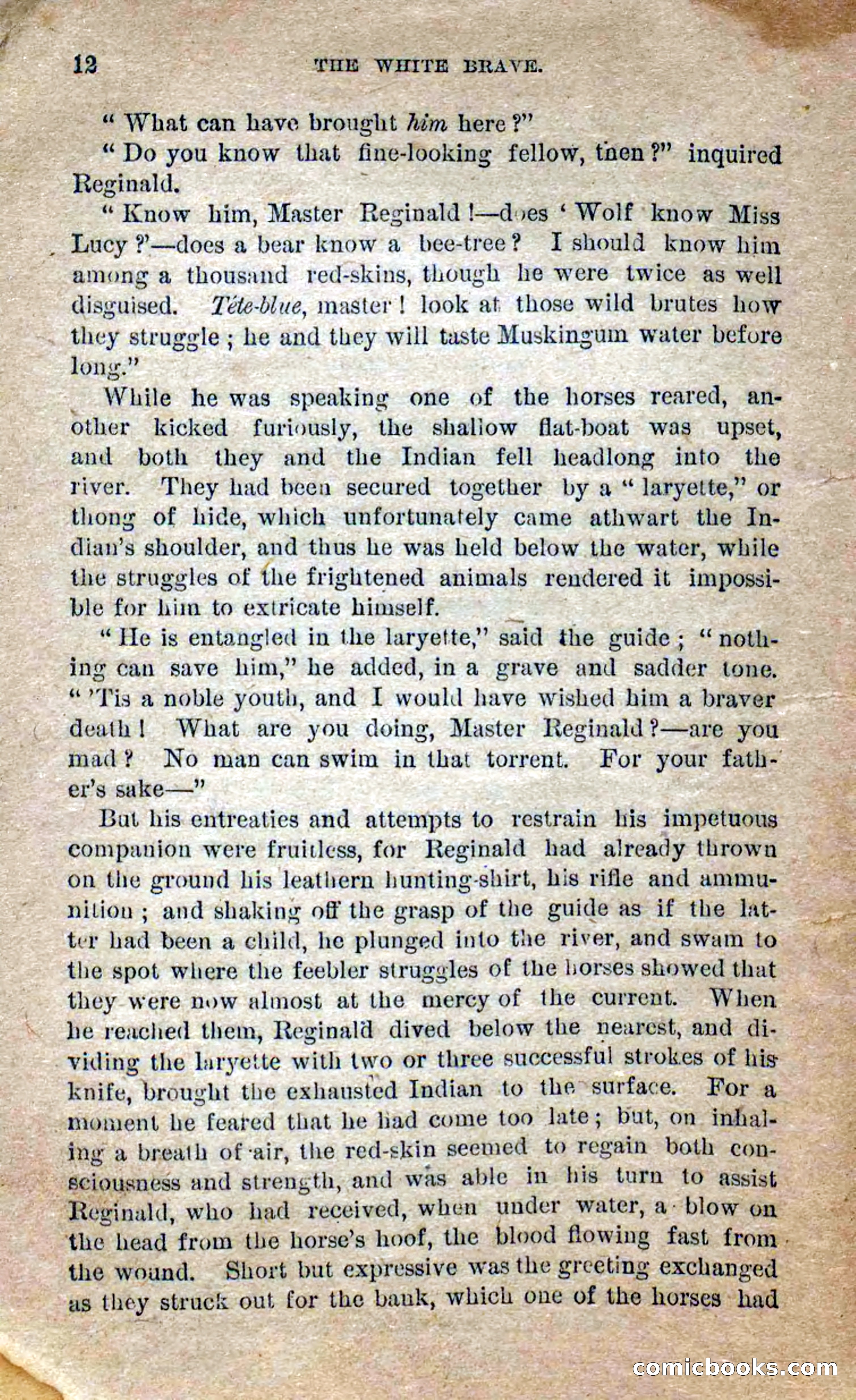 Beadle's Dime Novels No. 258: The White Brave — page 10 of 100