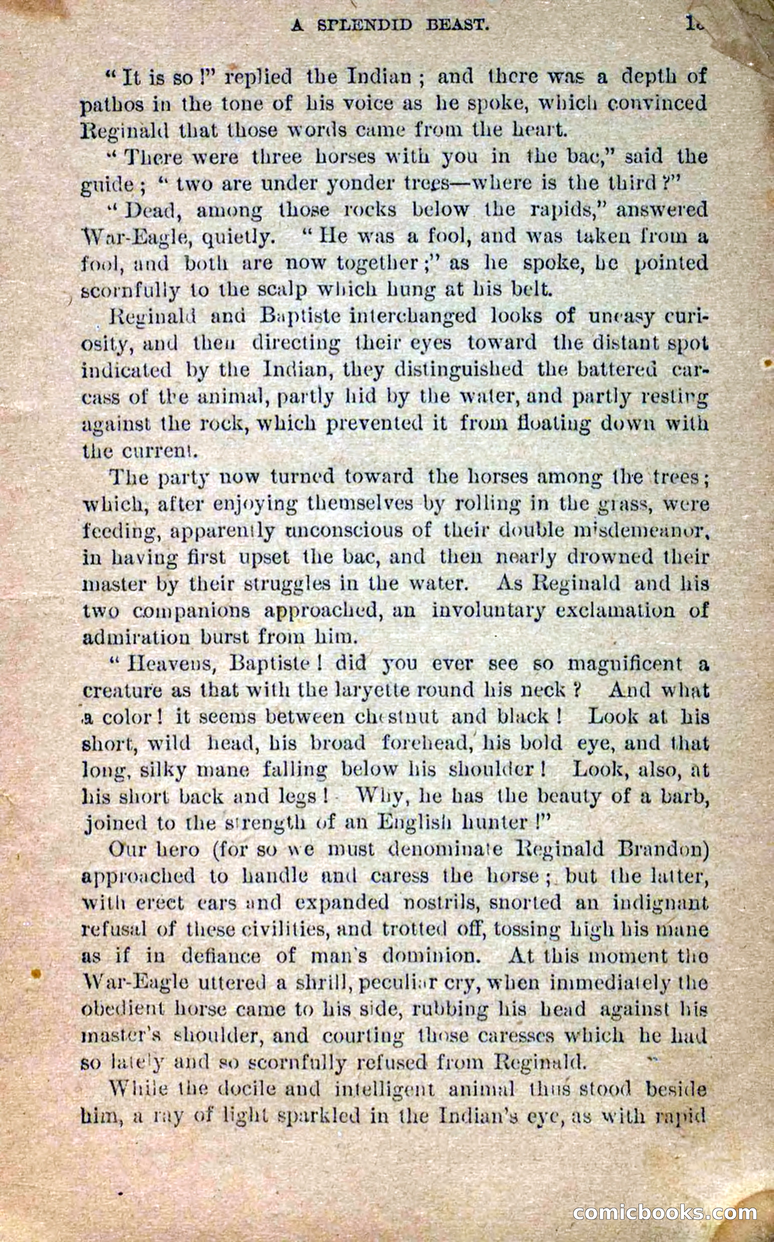 Beadle's Dime Novels No. 258: The White Brave — page 13 of 100