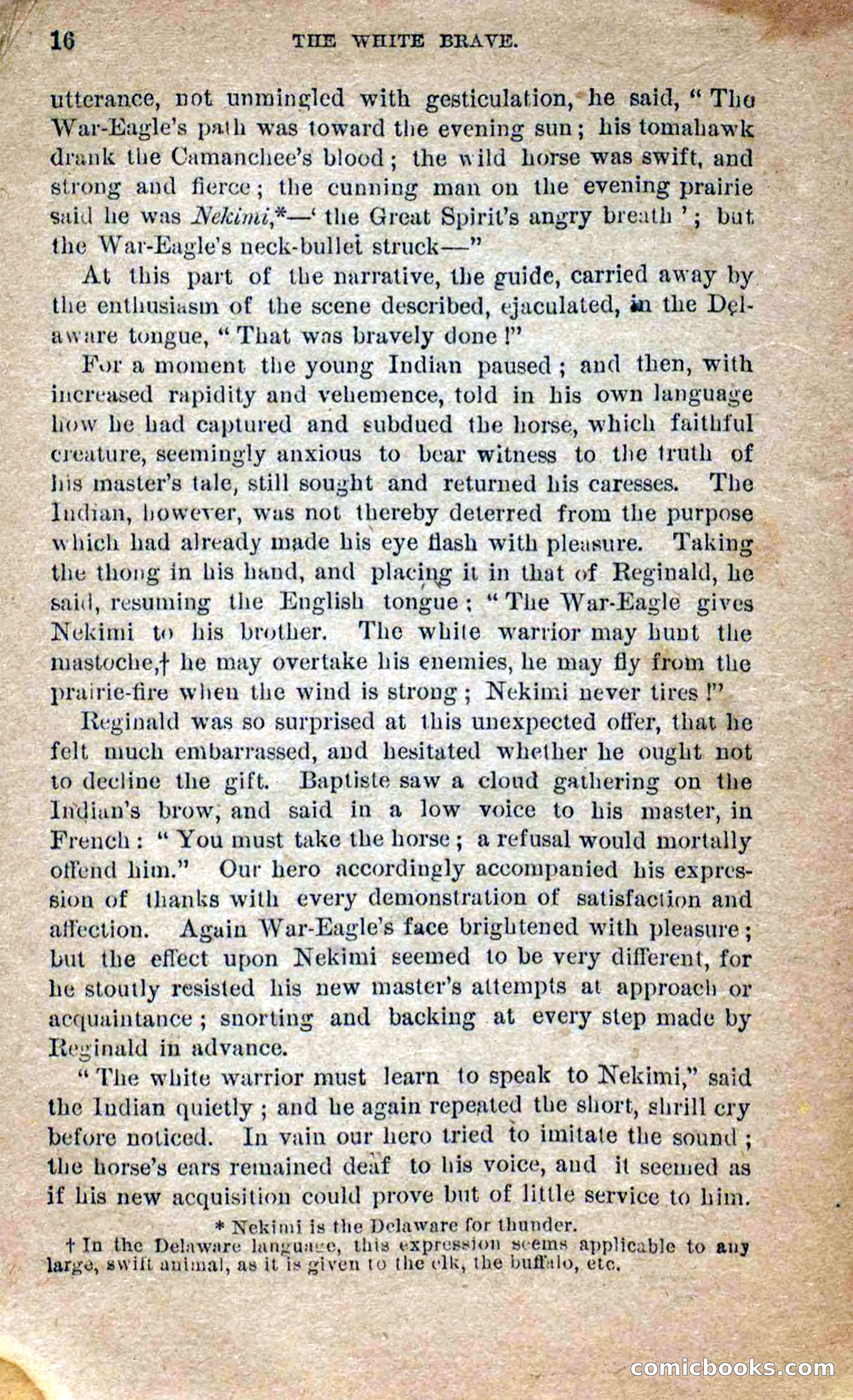 Beadle's Dime Novels No. 258: The White Brave — page 14 of 100