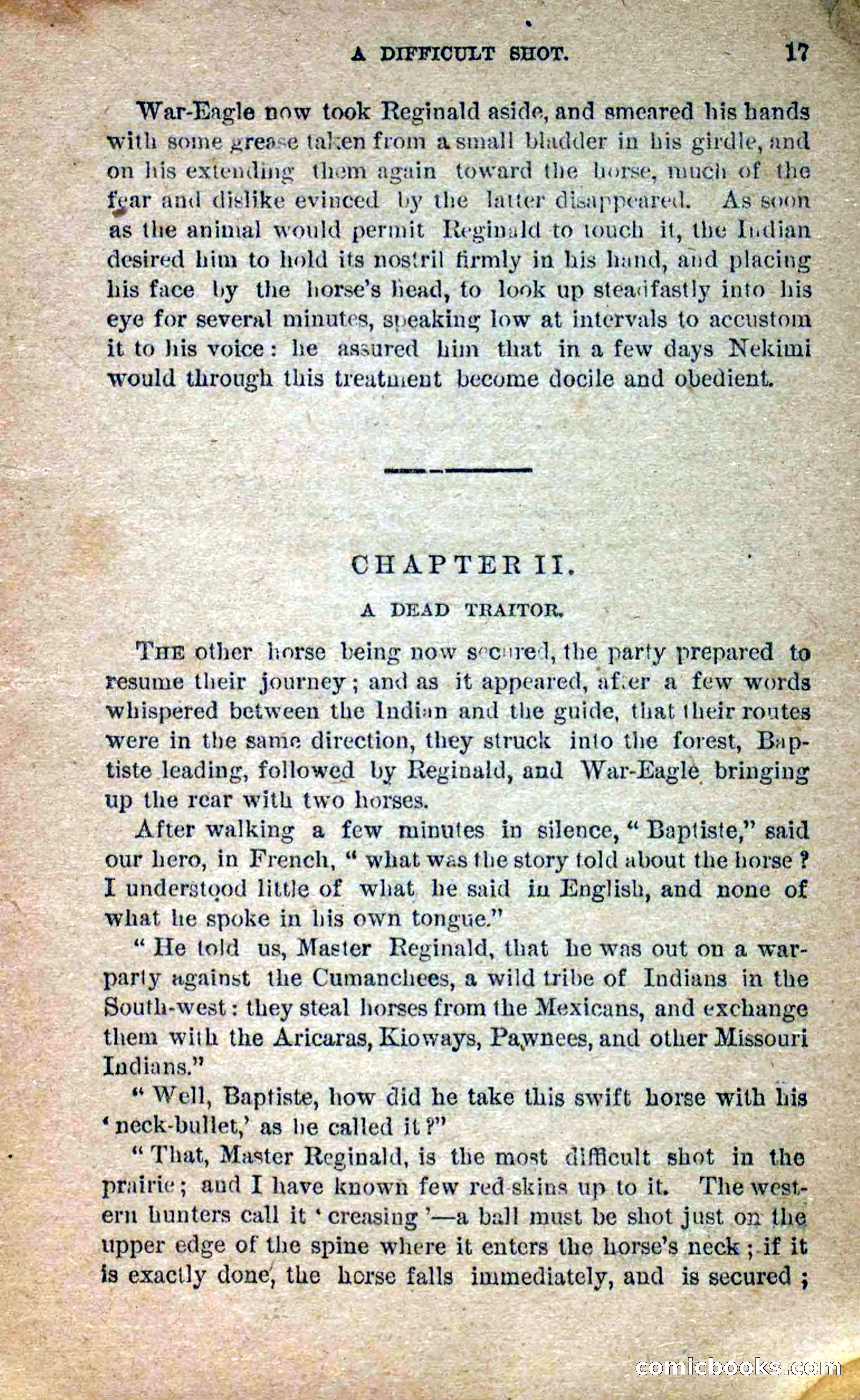 Beadle's Dime Novels No. 258: The White Brave — page 15 of 100