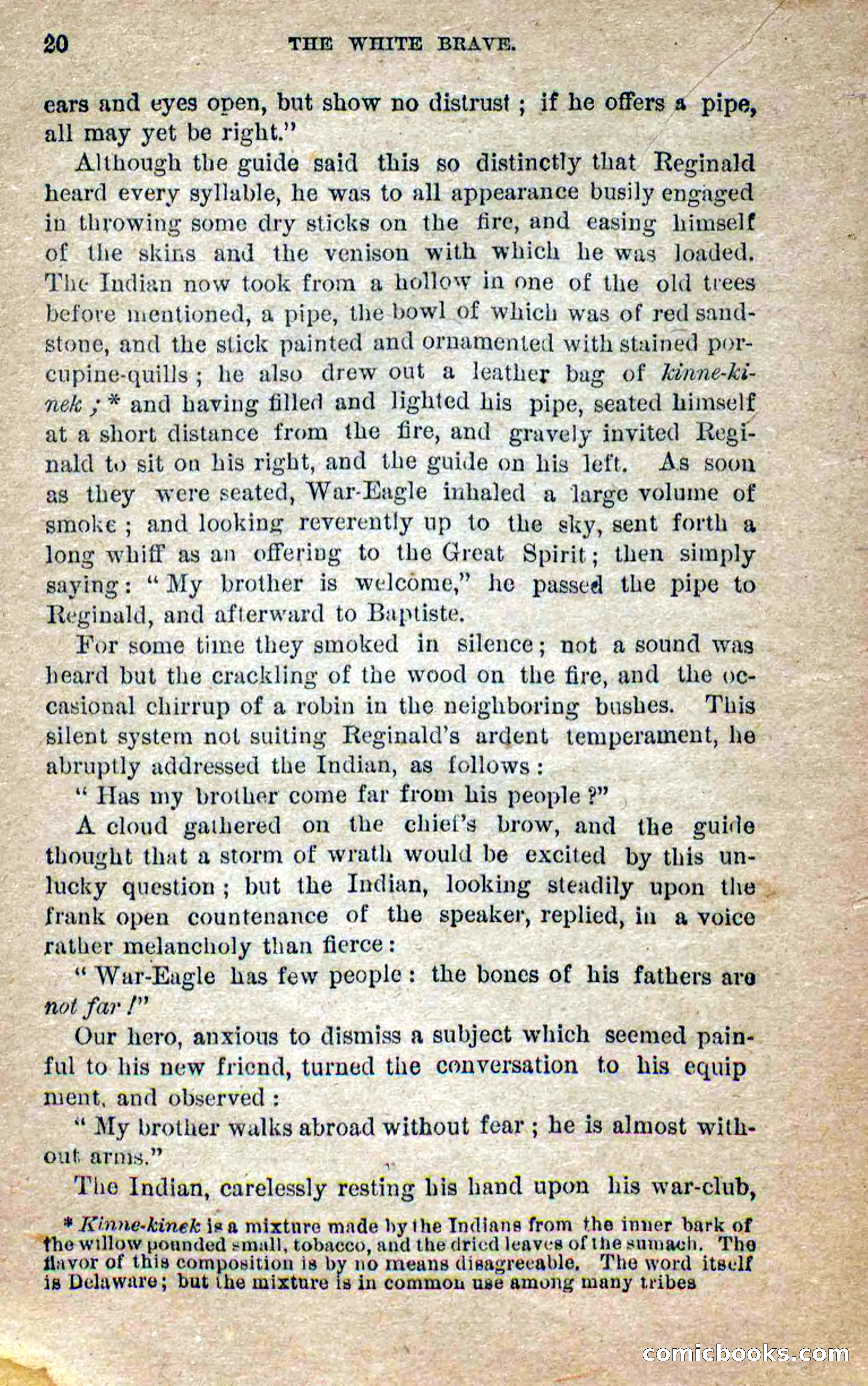 Beadle's Dime Novels No. 258: The White Brave — page 18 of 100