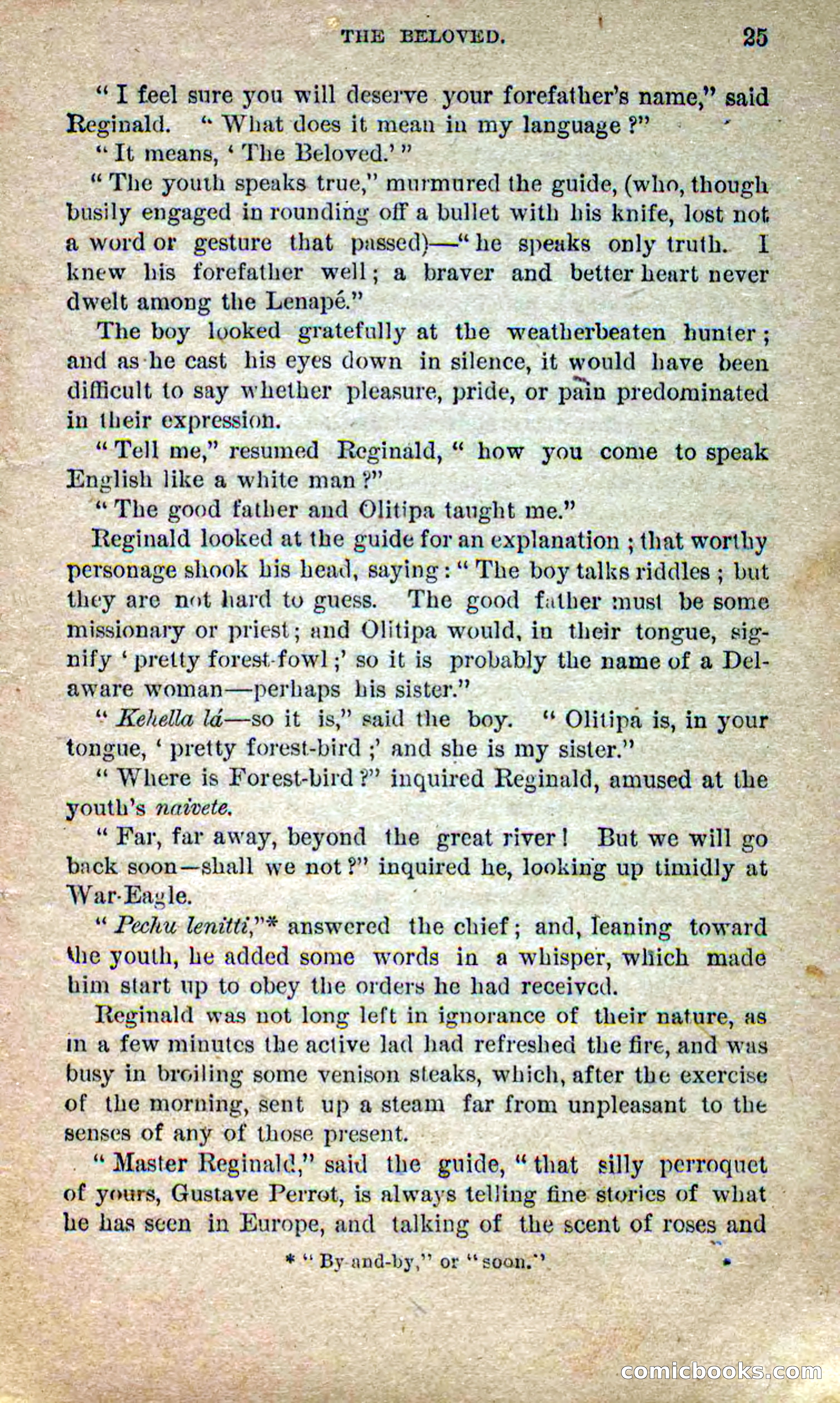 Beadle's Dime Novels No. 258: The White Brave — page 23 of 100