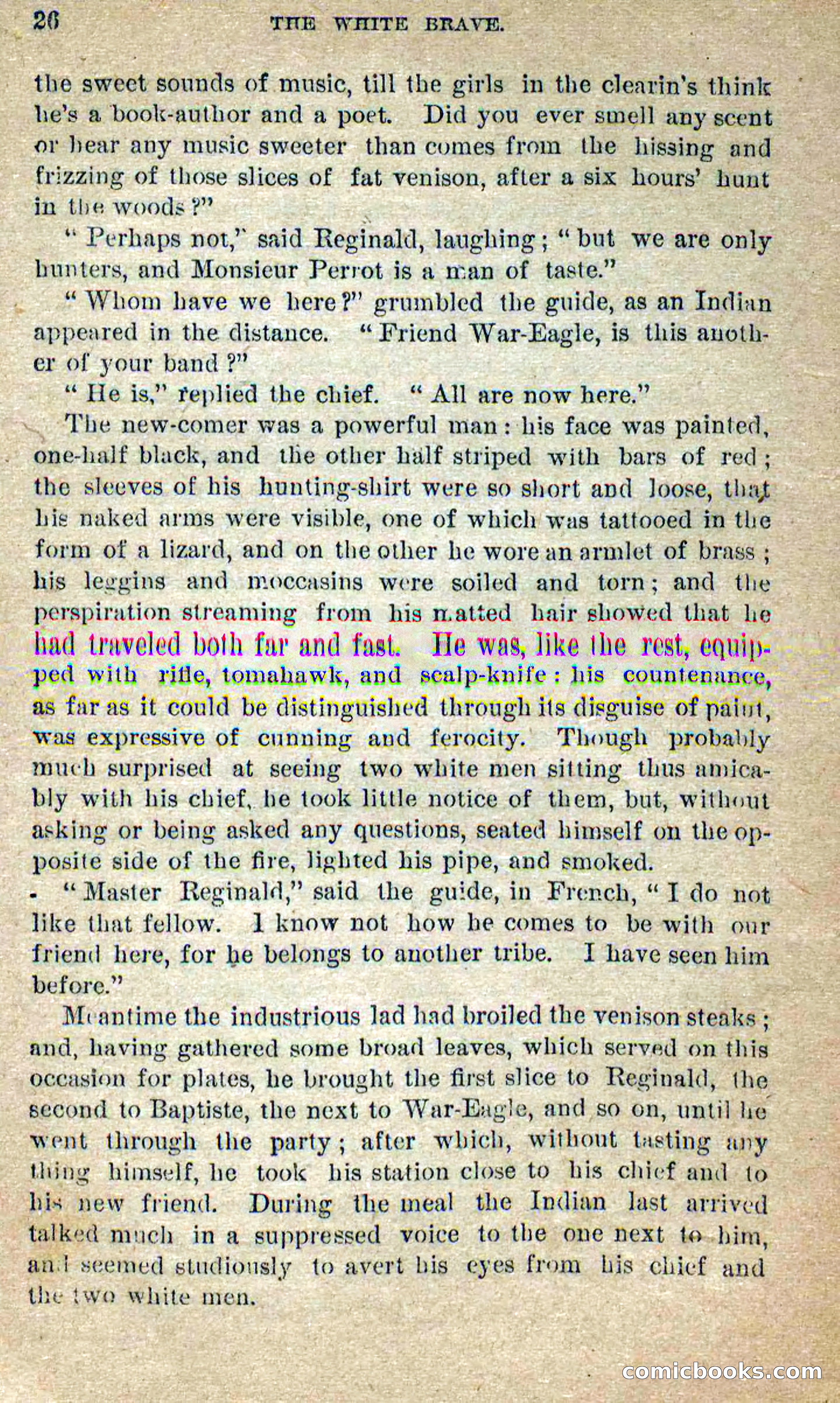 Beadle's Dime Novels No. 258: The White Brave — page 24 of 100
