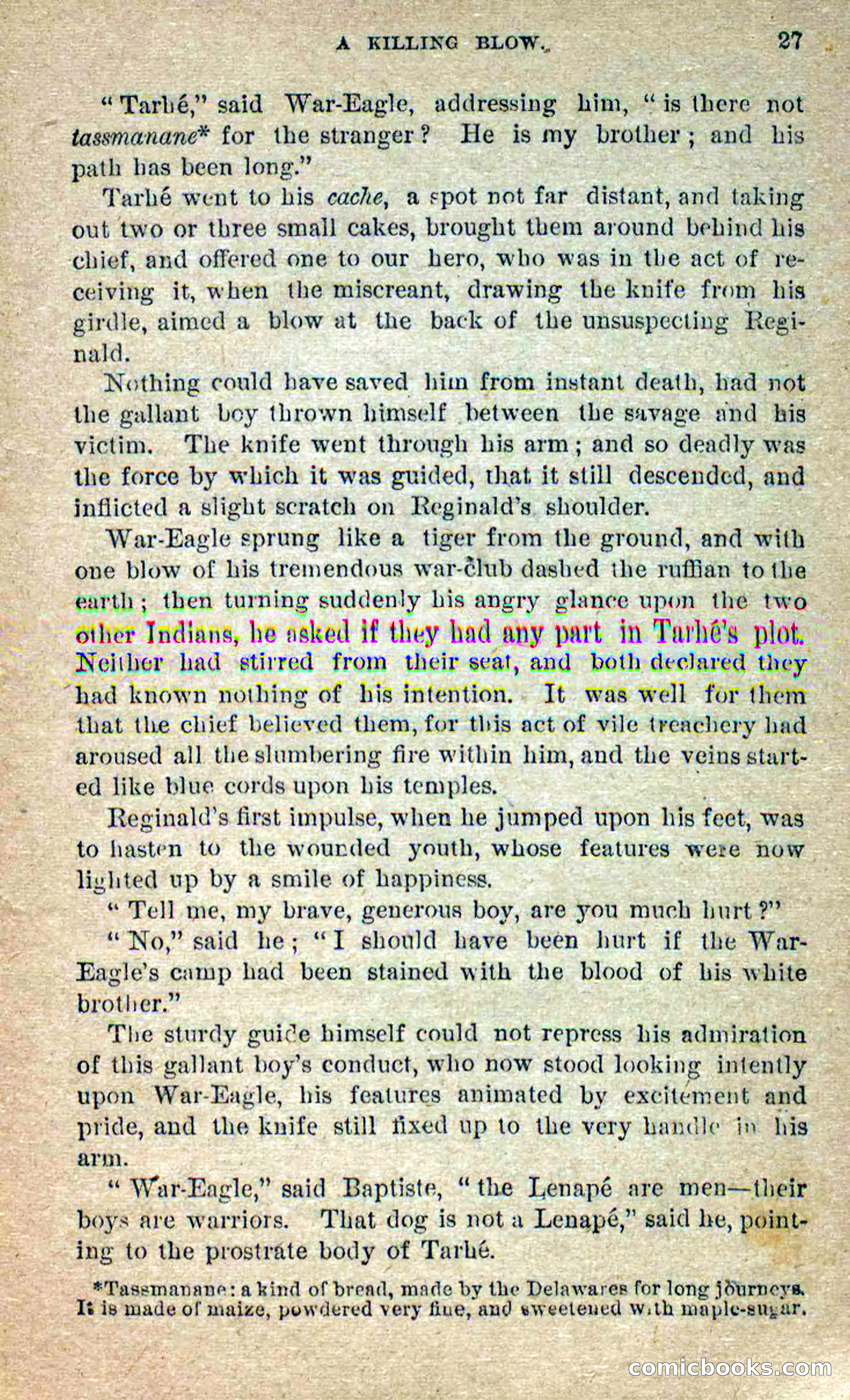 Beadle's Dime Novels No. 258: The White Brave — page 25 of 100