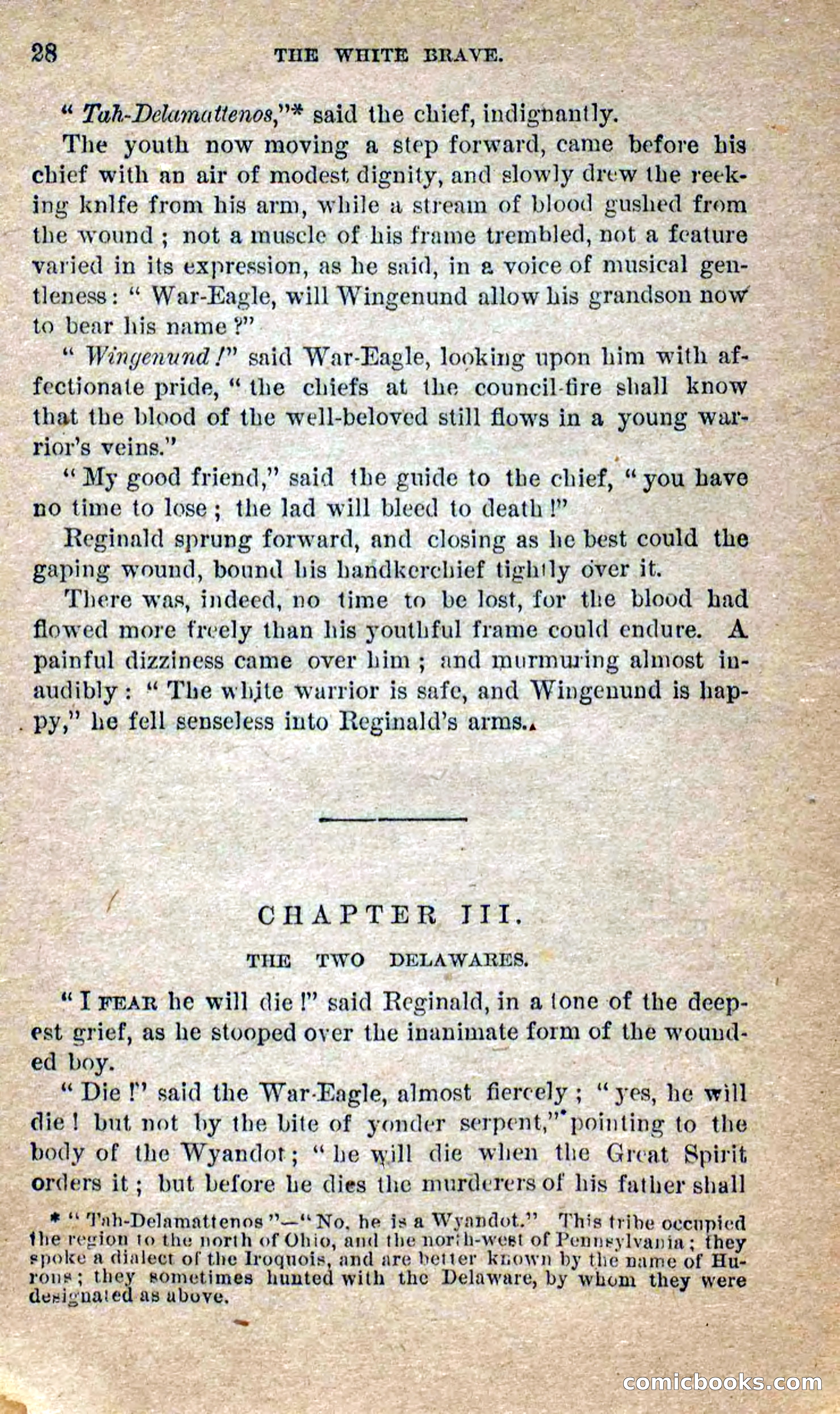 Beadle's Dime Novels No. 258: The White Brave — page 26 of 100