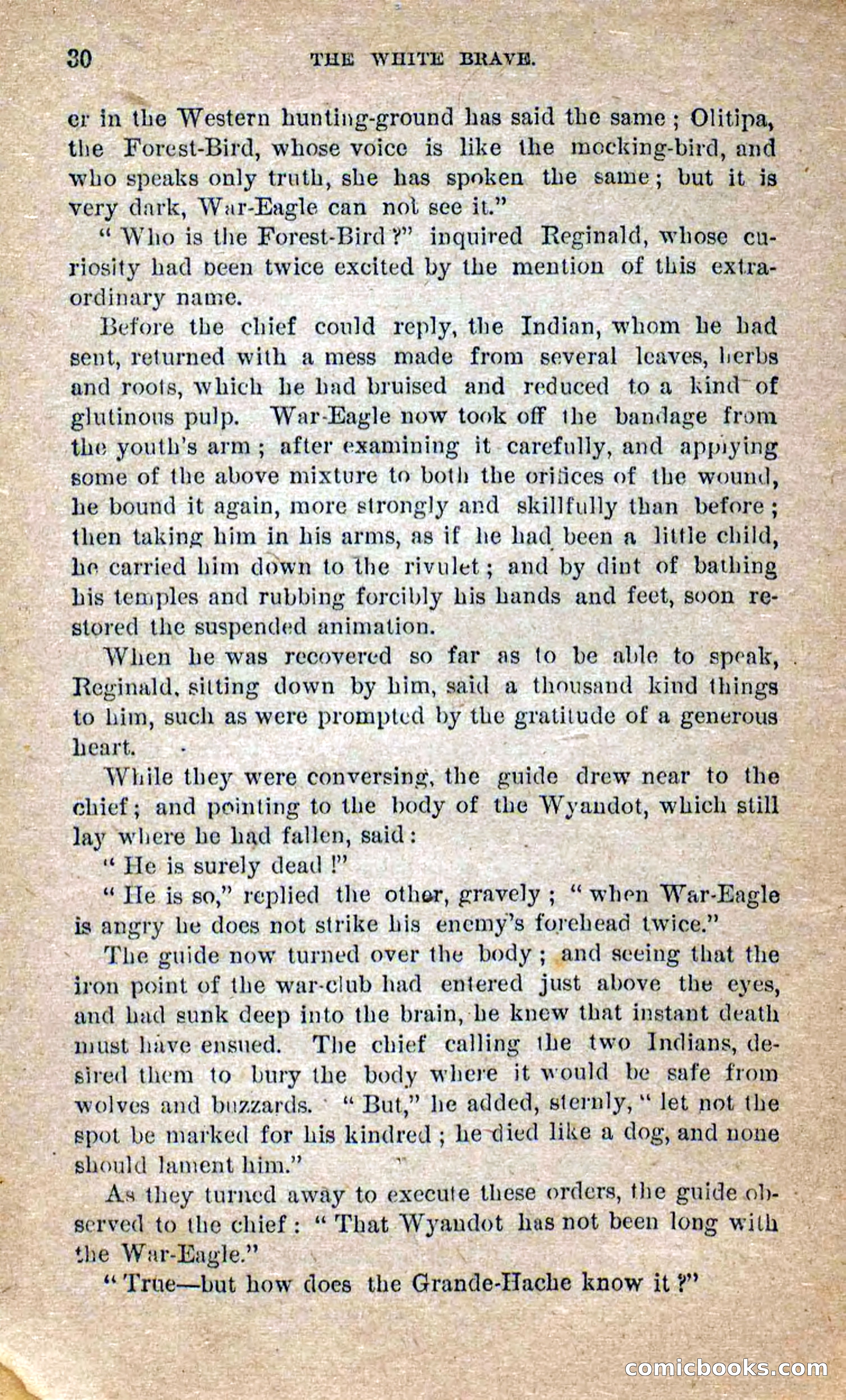 Beadle's Dime Novels No. 258: The White Brave — page 28 of 100