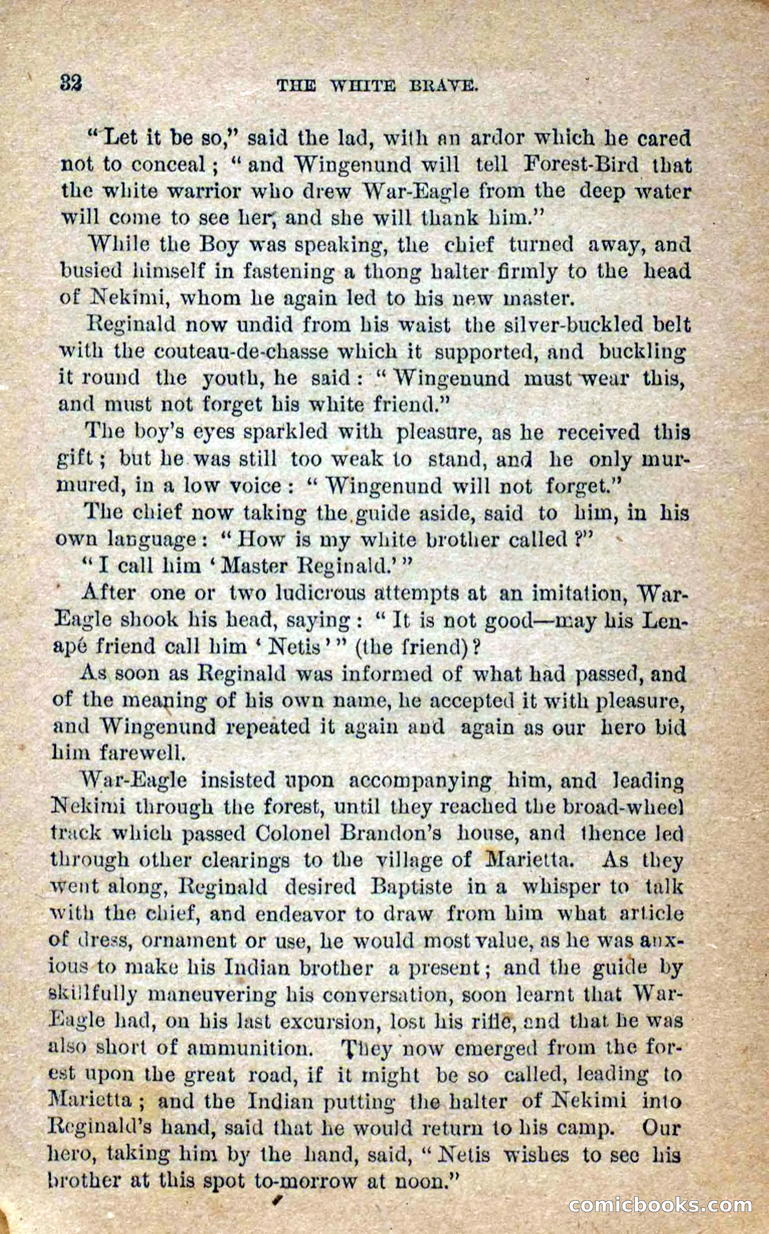 Beadle's Dime Novels No. 258: The White Brave — page 30 of 100
