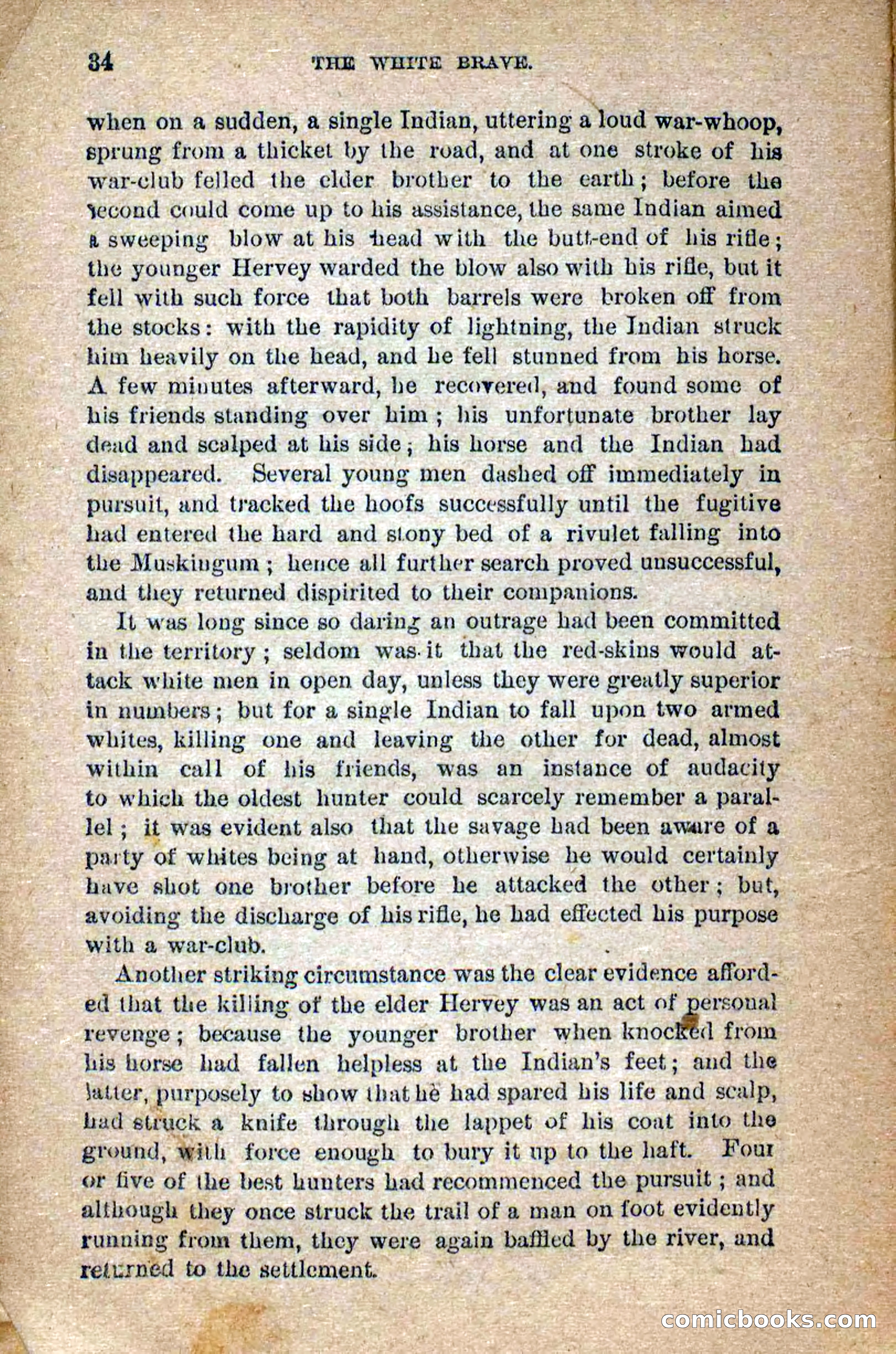 Beadle's Dime Novels No. 258: The White Brave — page 32 of 100