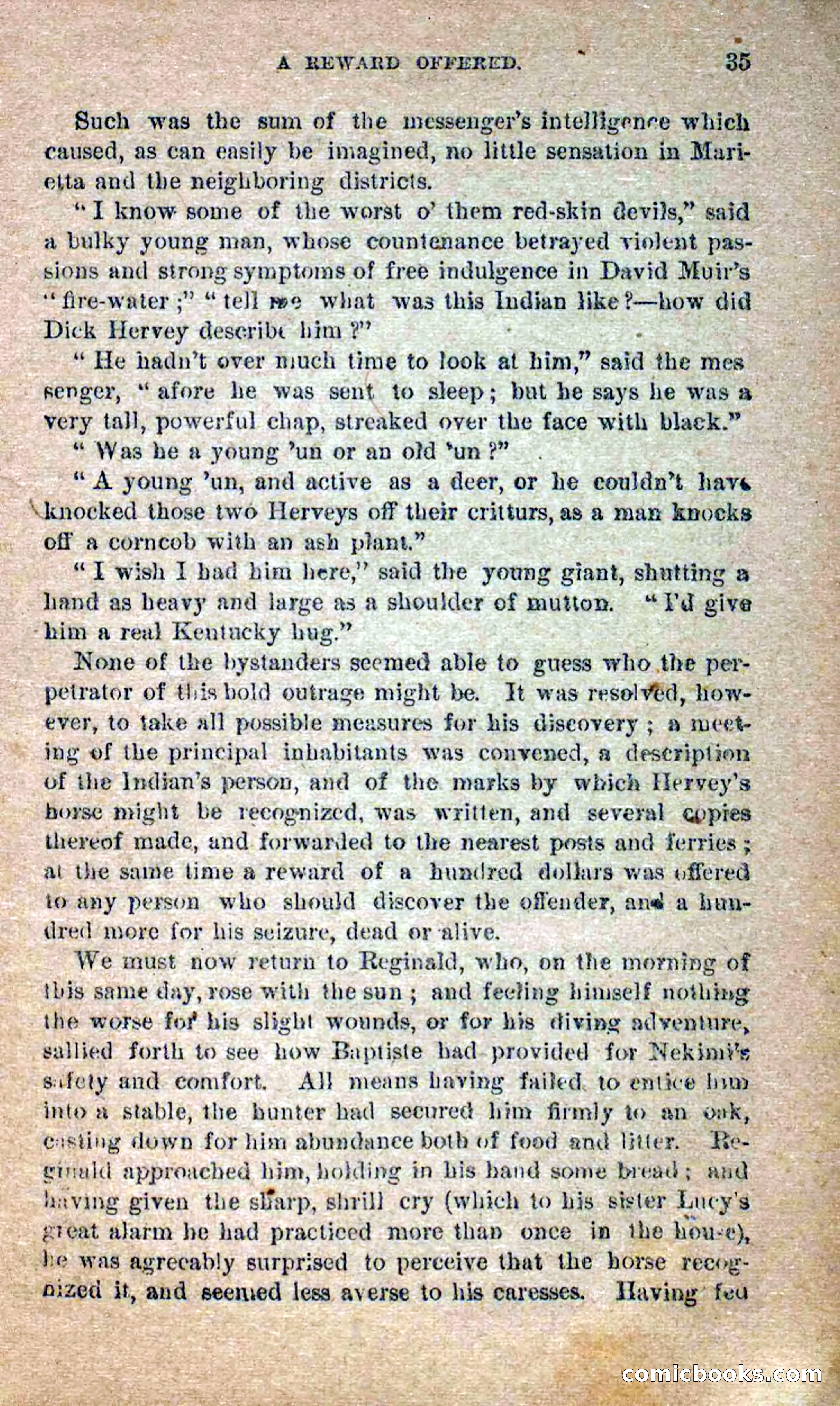 Beadle's Dime Novels No. 258: The White Brave — page 33 of 100