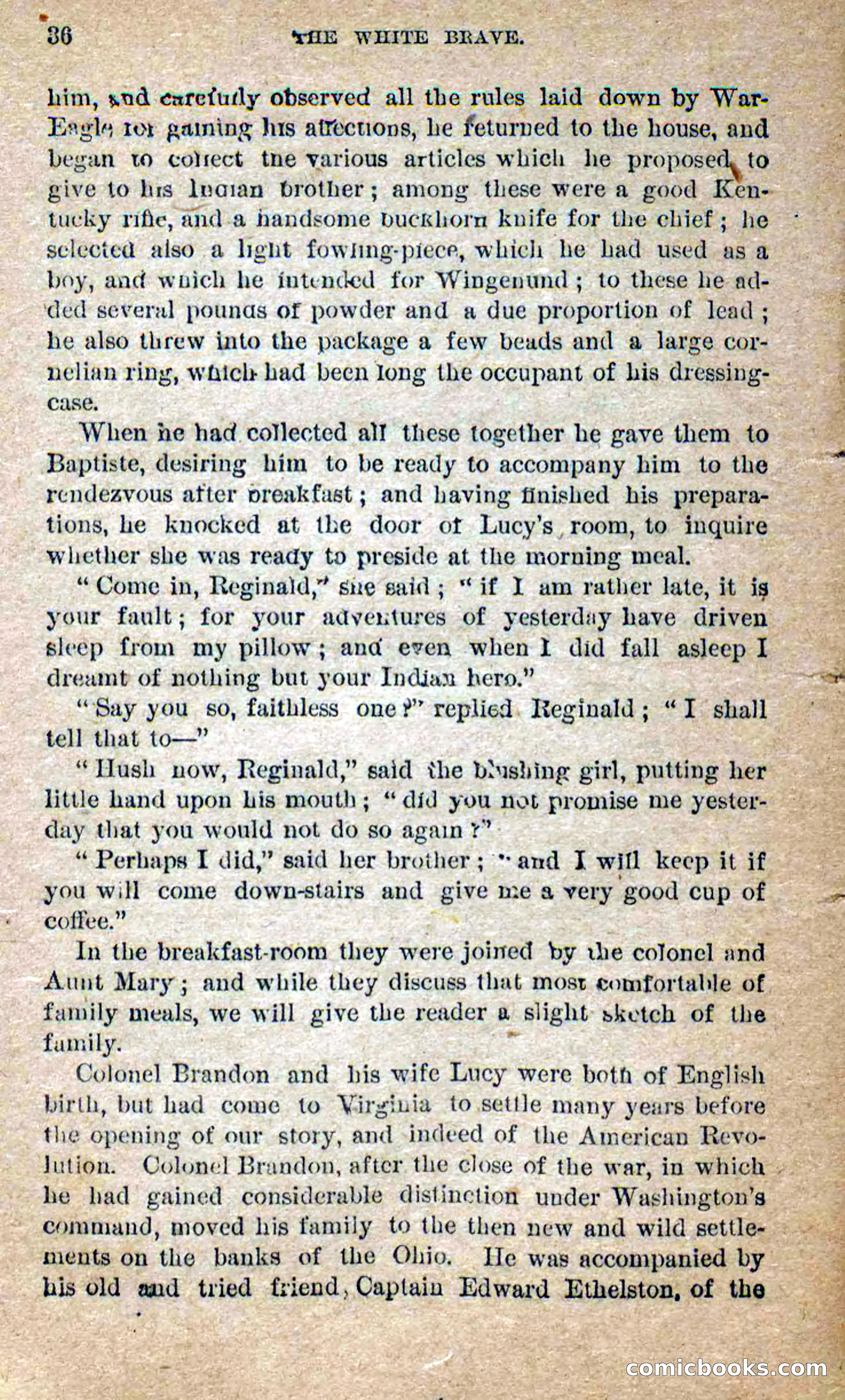Beadle's Dime Novels No. 258: The White Brave — page 34 of 100