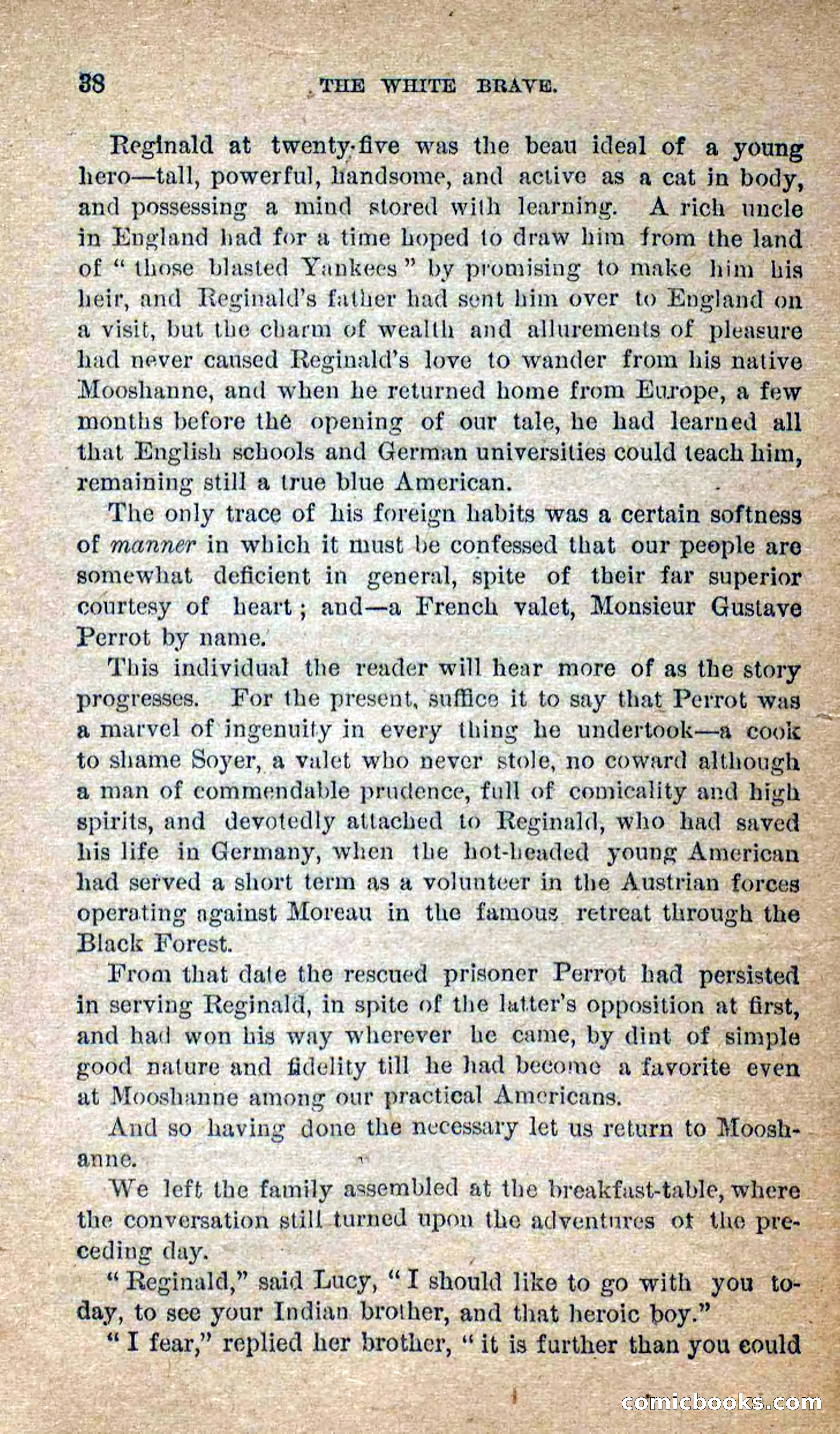Beadle's Dime Novels No. 258: The White Brave — page 36 of 100