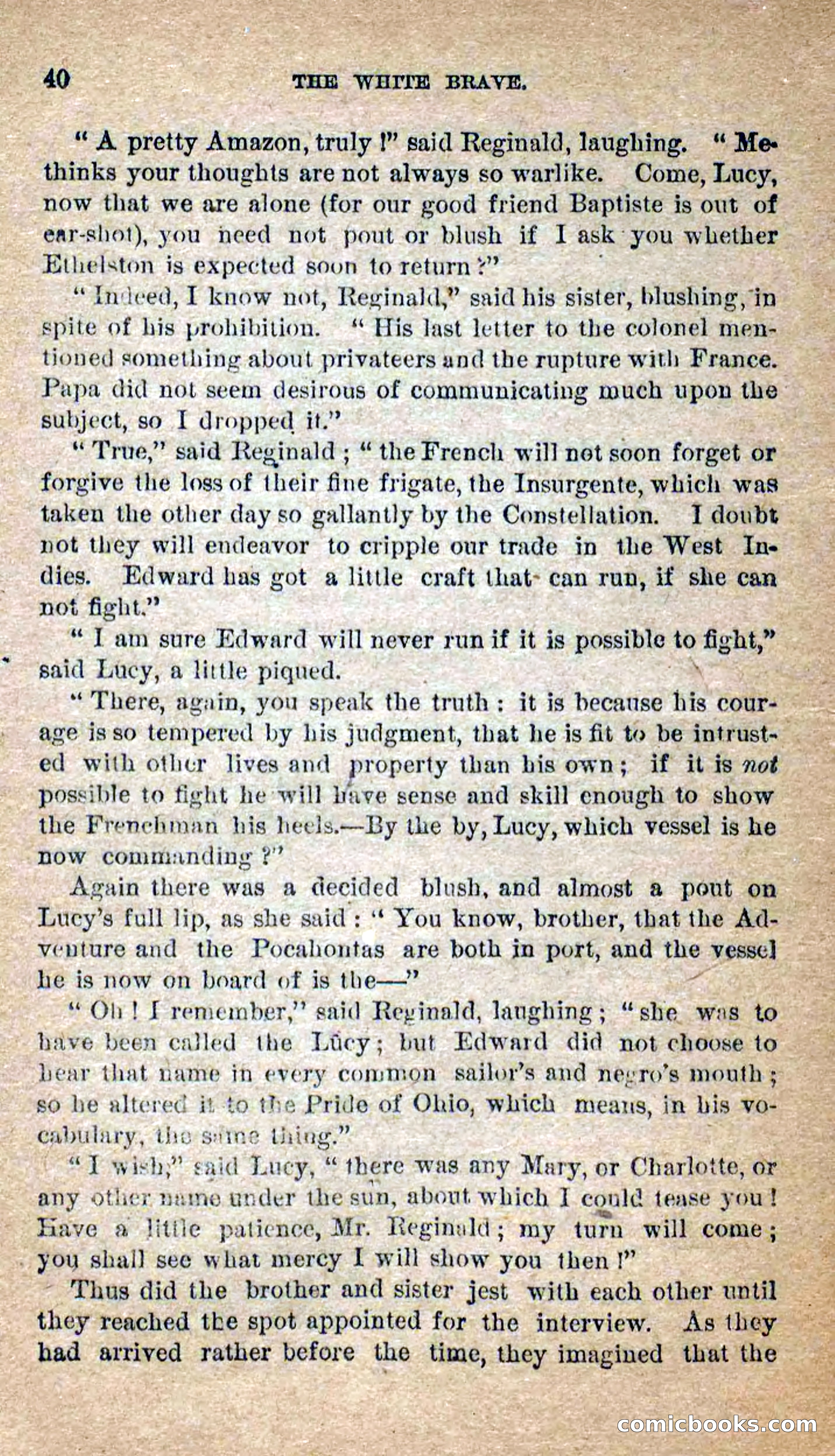 Beadle's Dime Novels No. 258: The White Brave — page 38 of 100