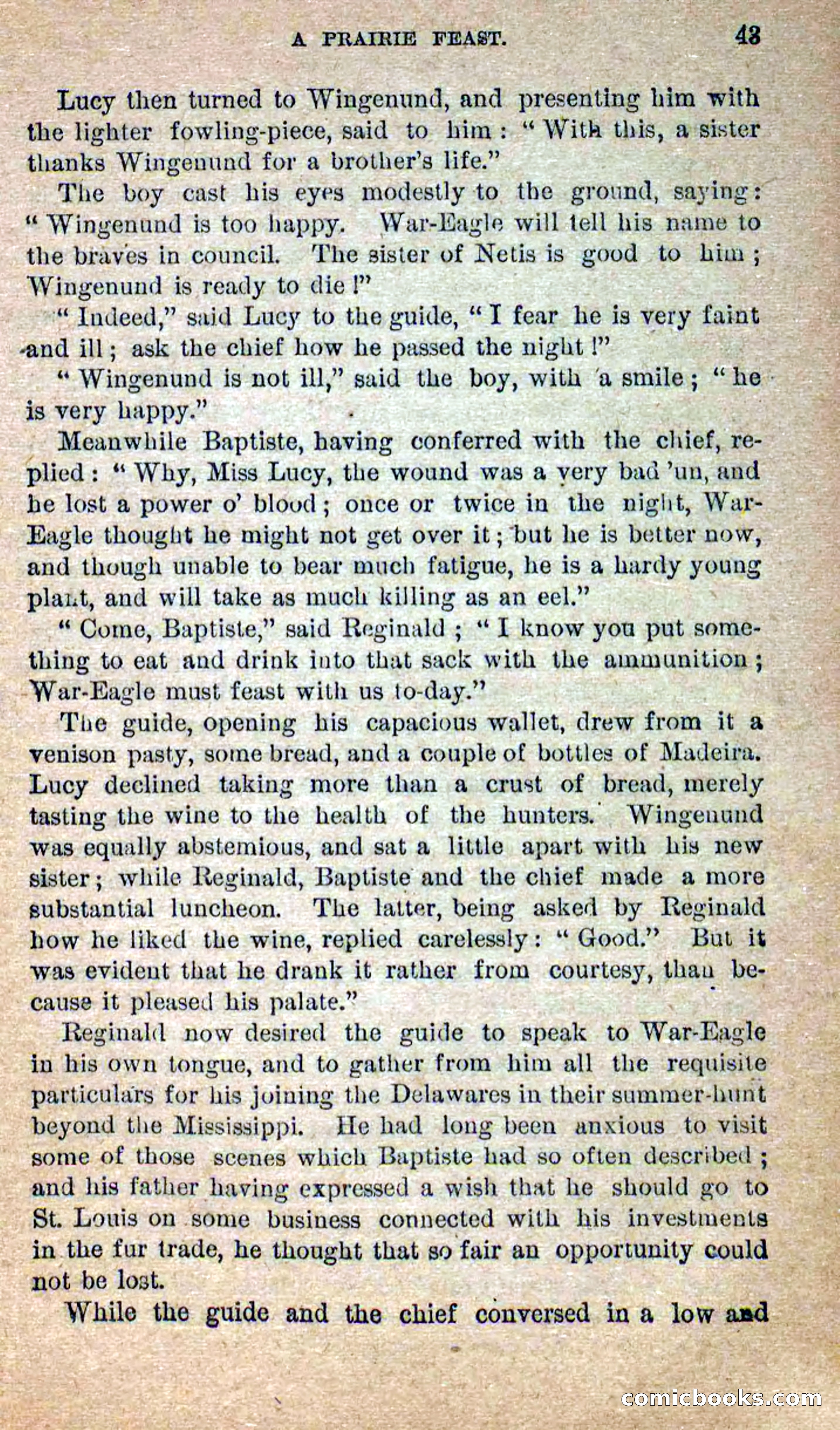 Beadle's Dime Novels No. 258: The White Brave — page 41 of 100