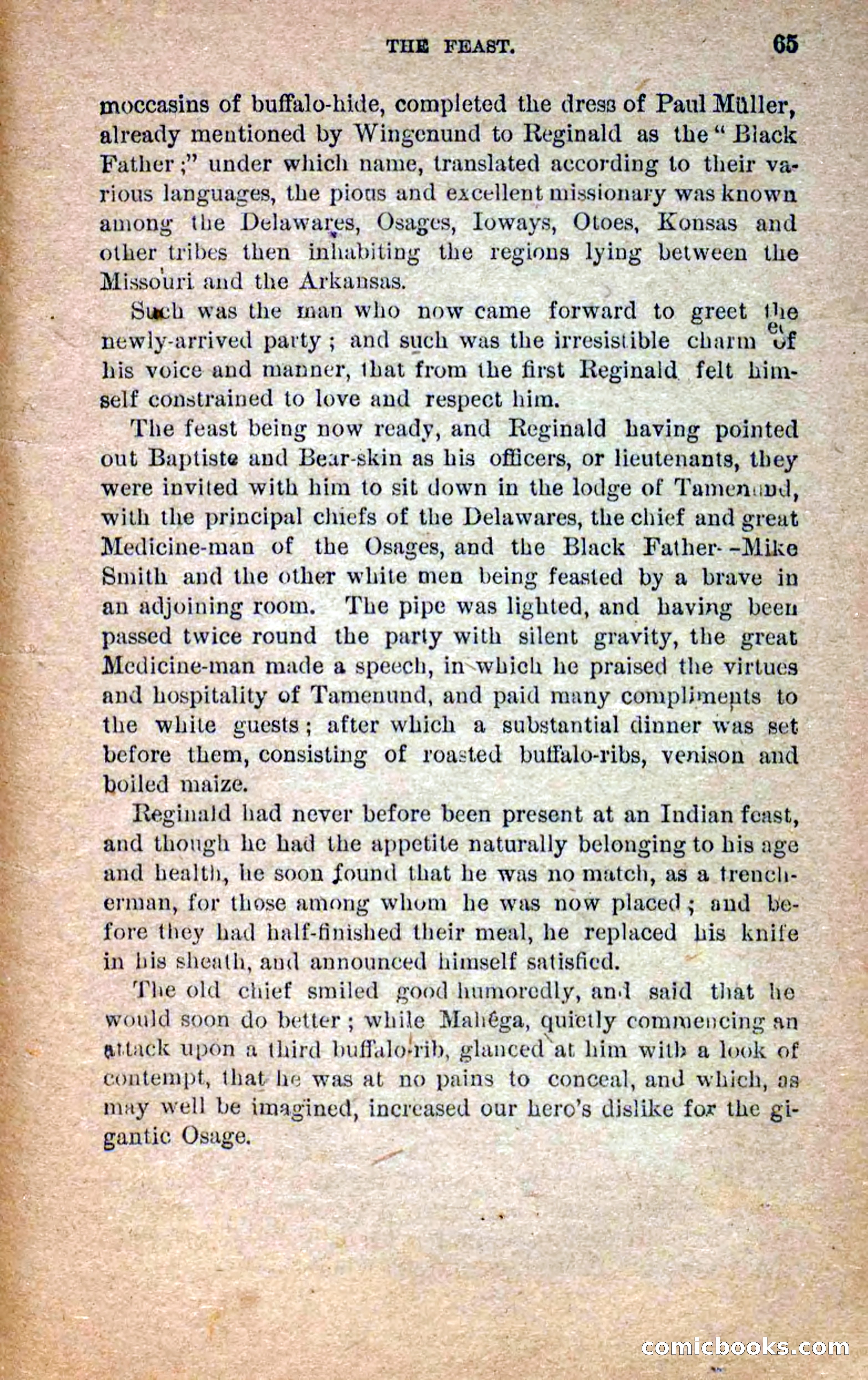 Beadle's Dime Novels No. 258: The White Brave — page 63 of 100
