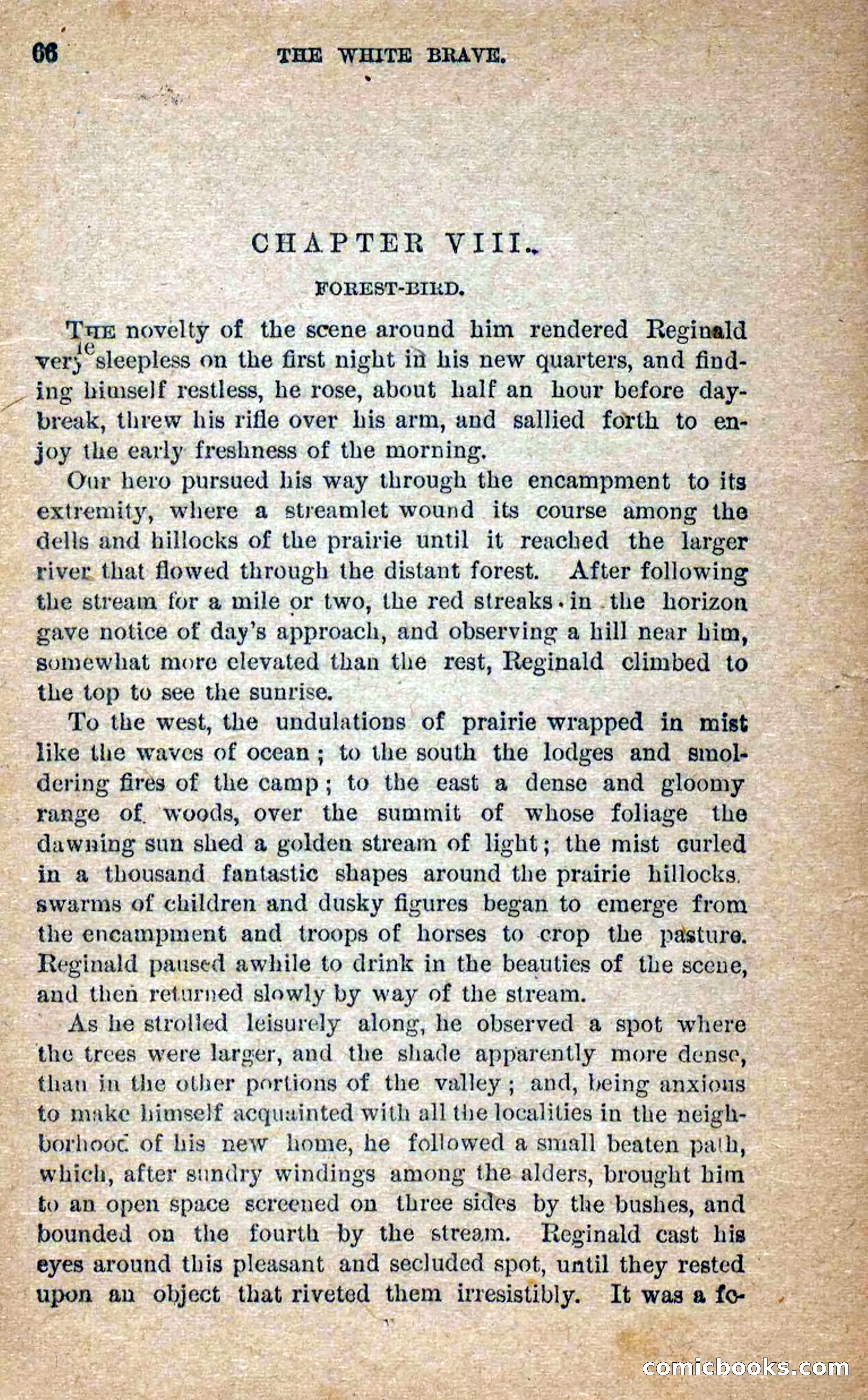 Beadle's Dime Novels No. 258: The White Brave — page 64 of 100