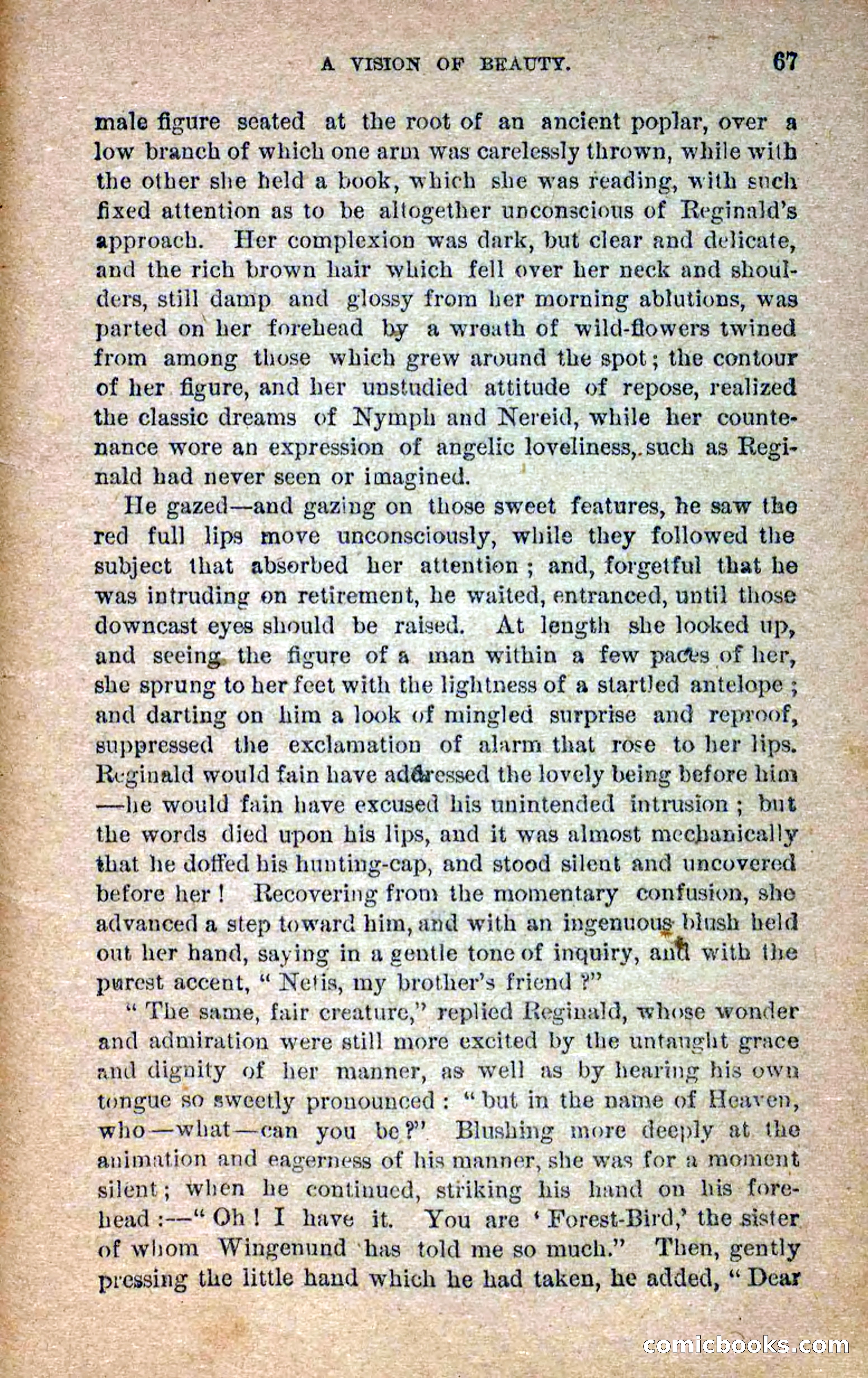 Beadle's Dime Novels No. 258: The White Brave — page 65 of 100