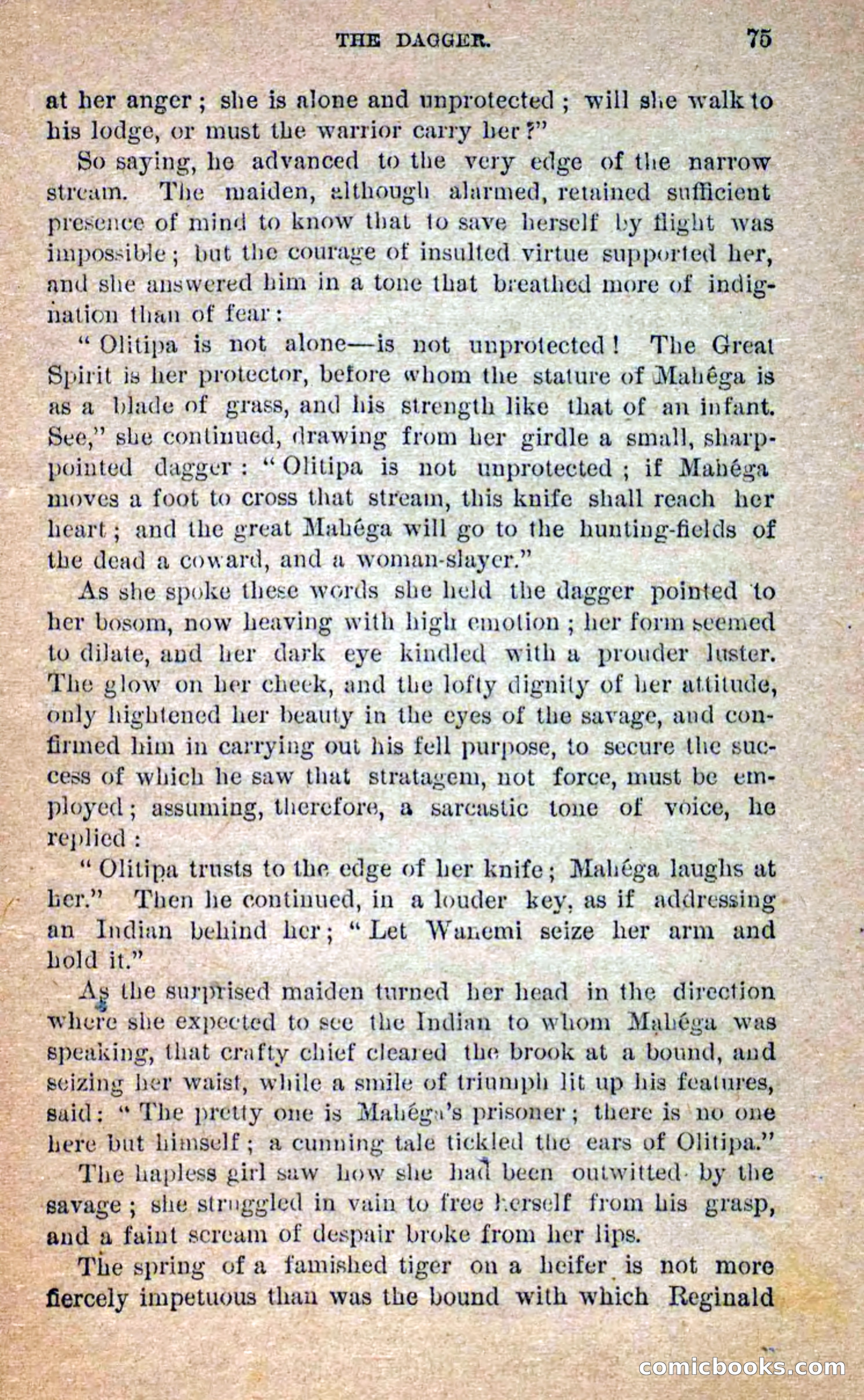 Beadle's Dime Novels No. 258: The White Brave — page 73 of 100