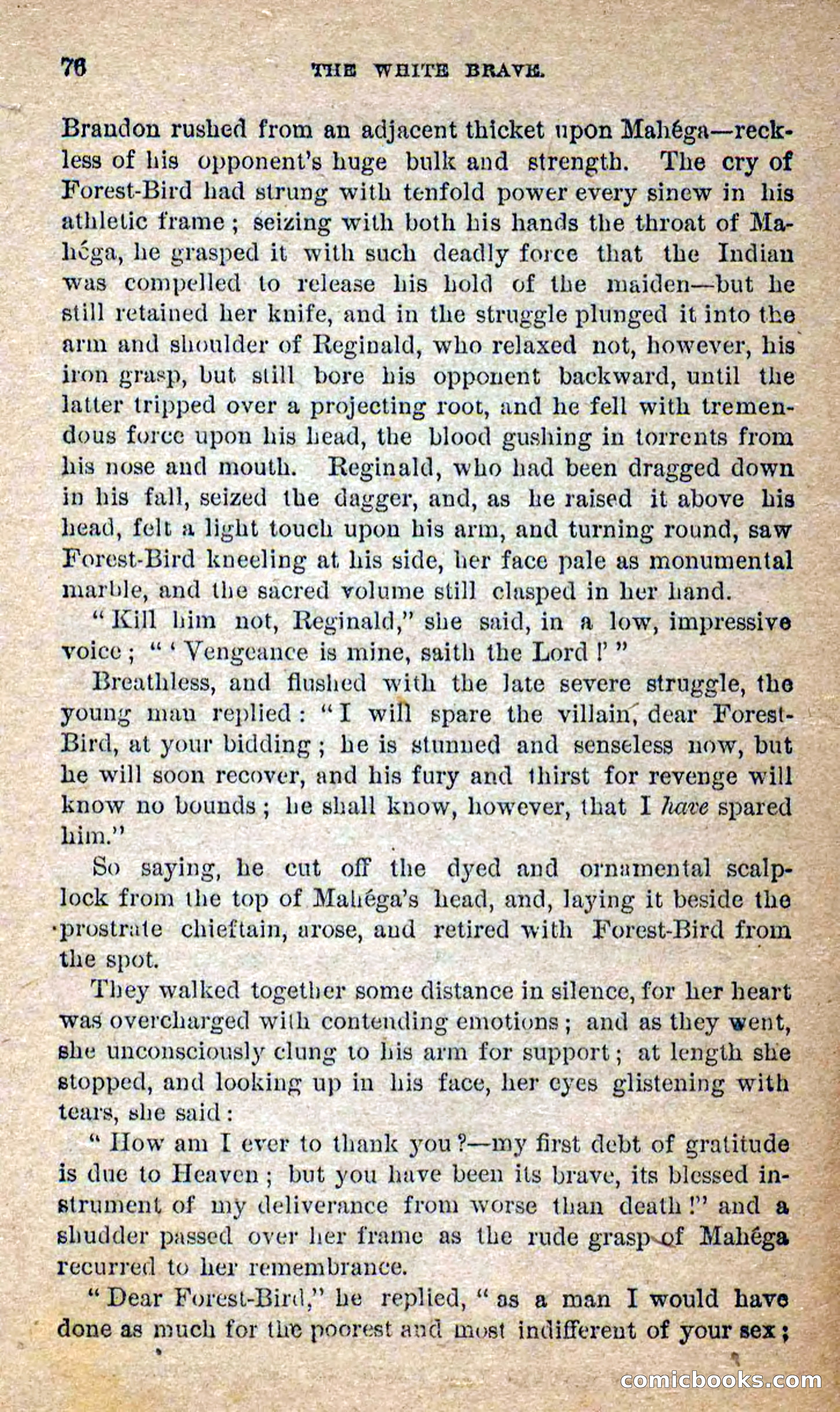 Beadle's Dime Novels No. 258: The White Brave — page 74 of 100