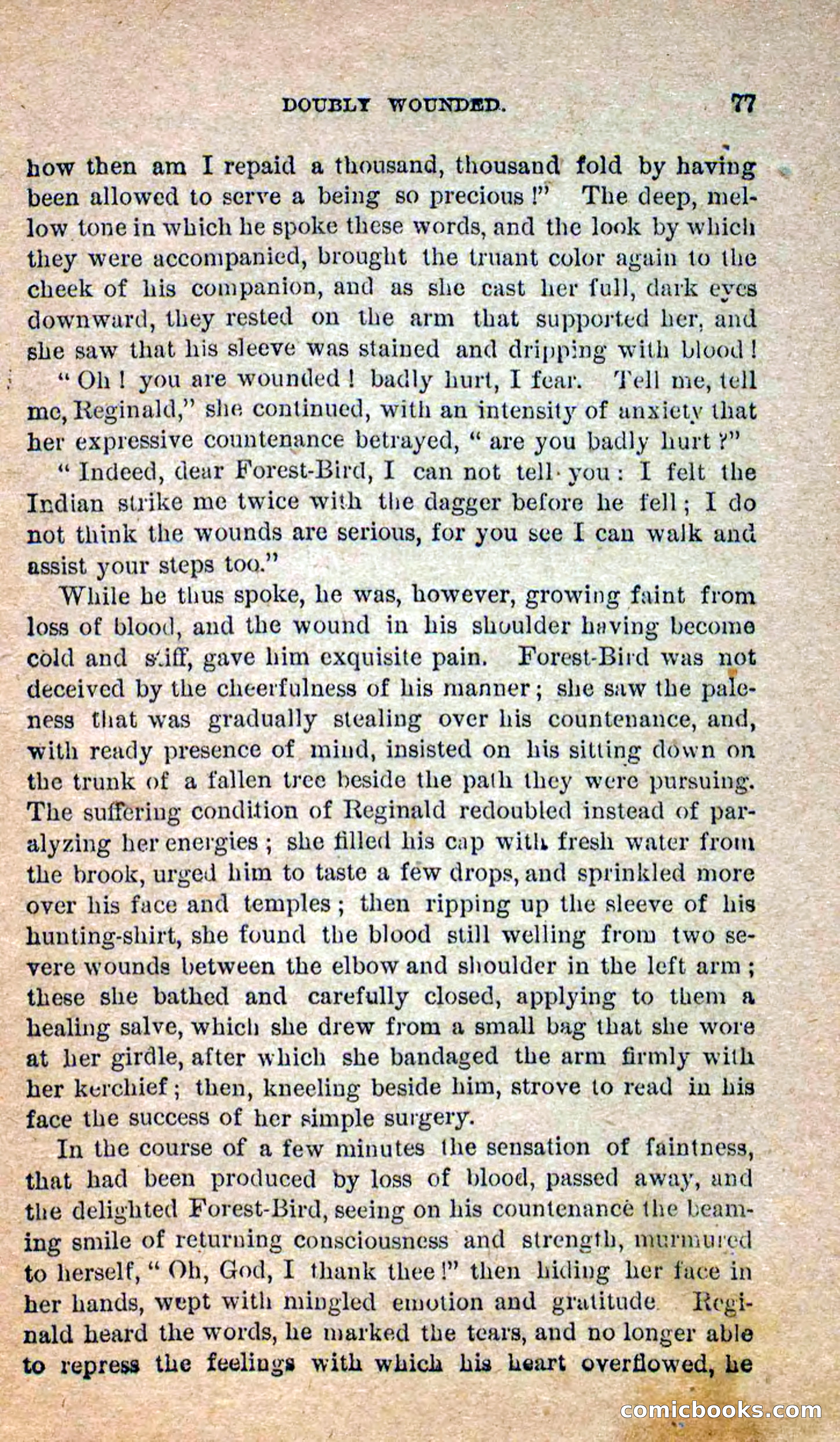 Beadle's Dime Novels No. 258: The White Brave — page 75 of 100