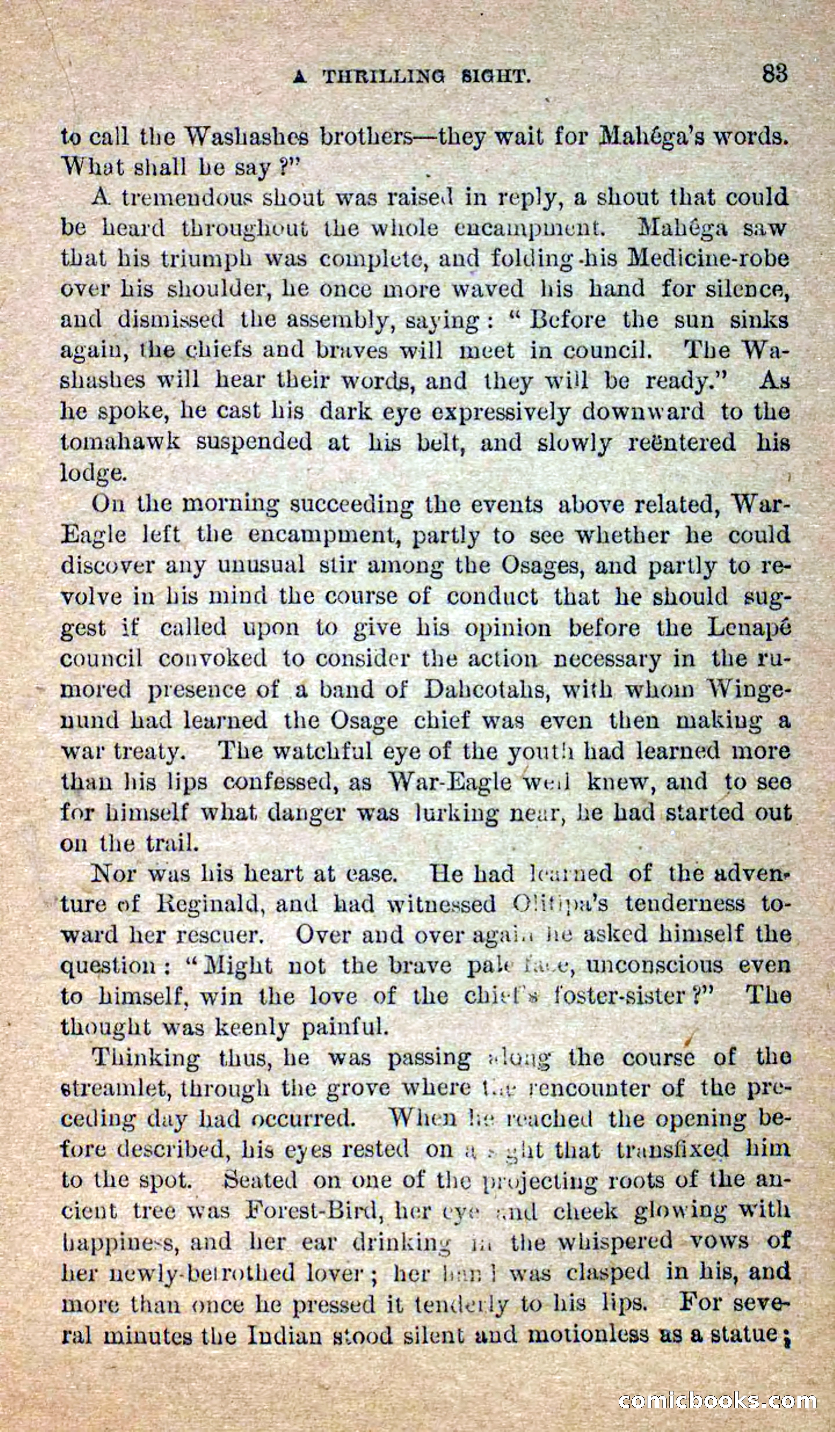 Beadle's Dime Novels No. 258: The White Brave — page 81 of 100