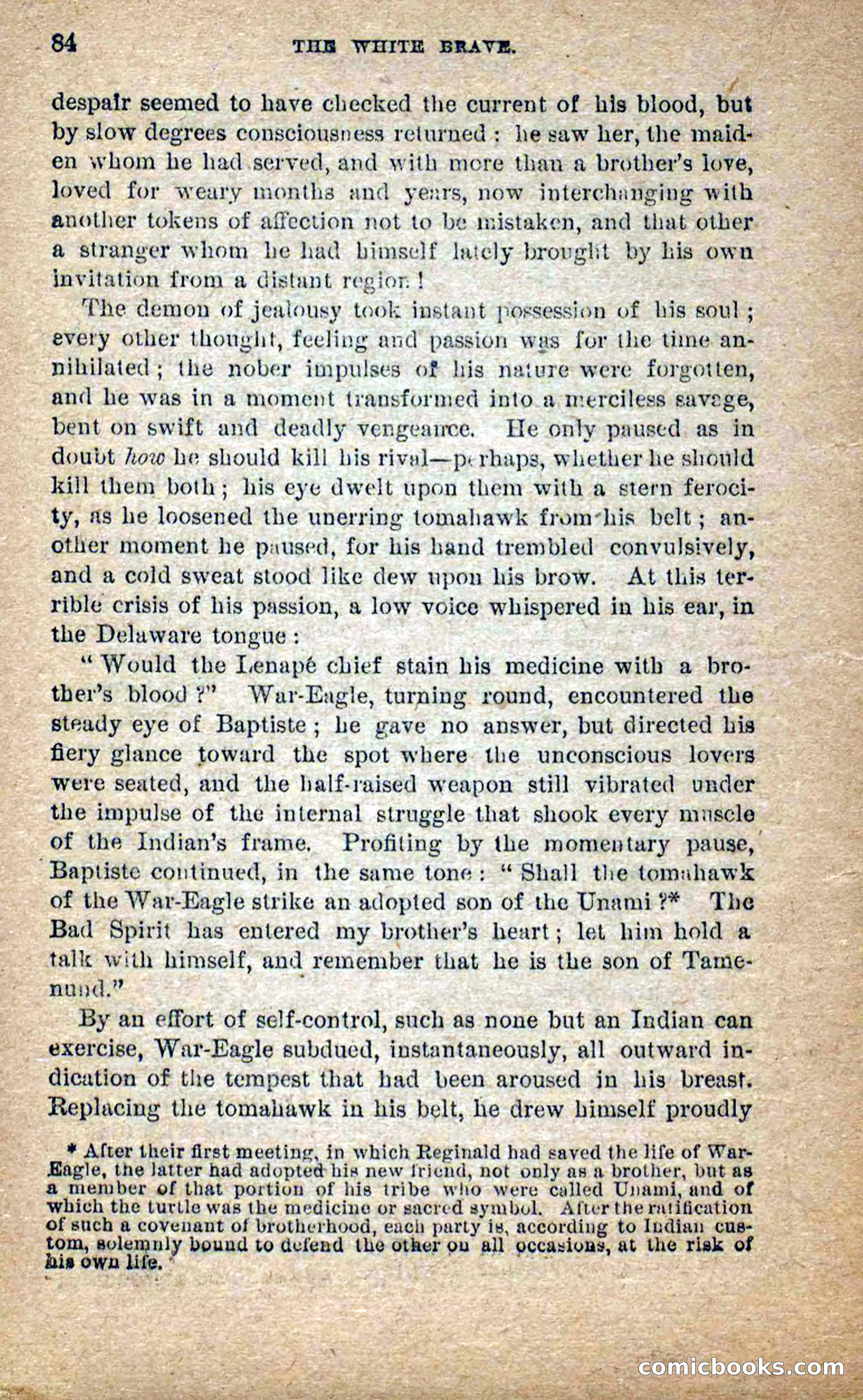 Beadle's Dime Novels No. 258: The White Brave — page 82 of 100