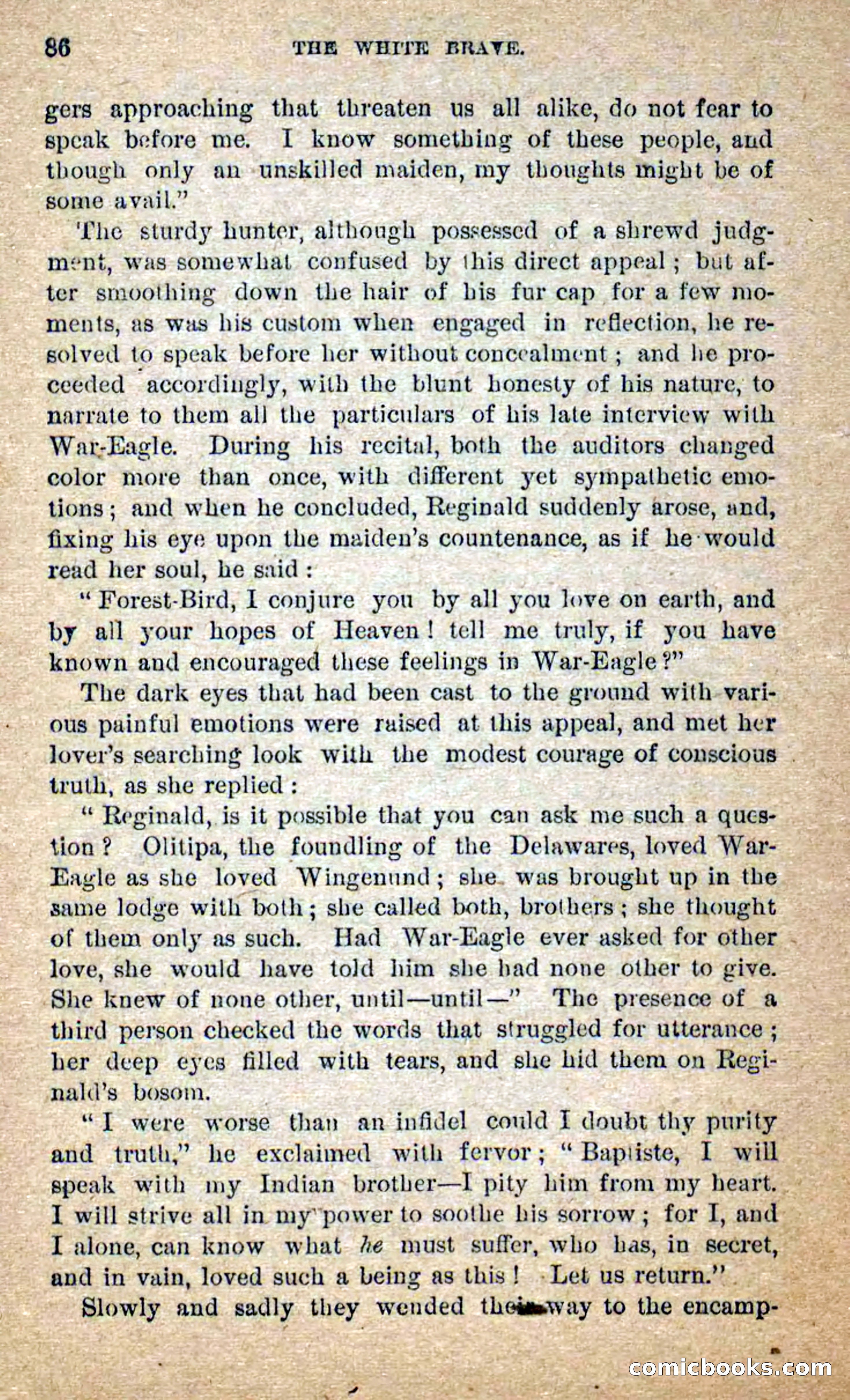 Beadle's Dime Novels No. 258: The White Brave — page 84 of 100