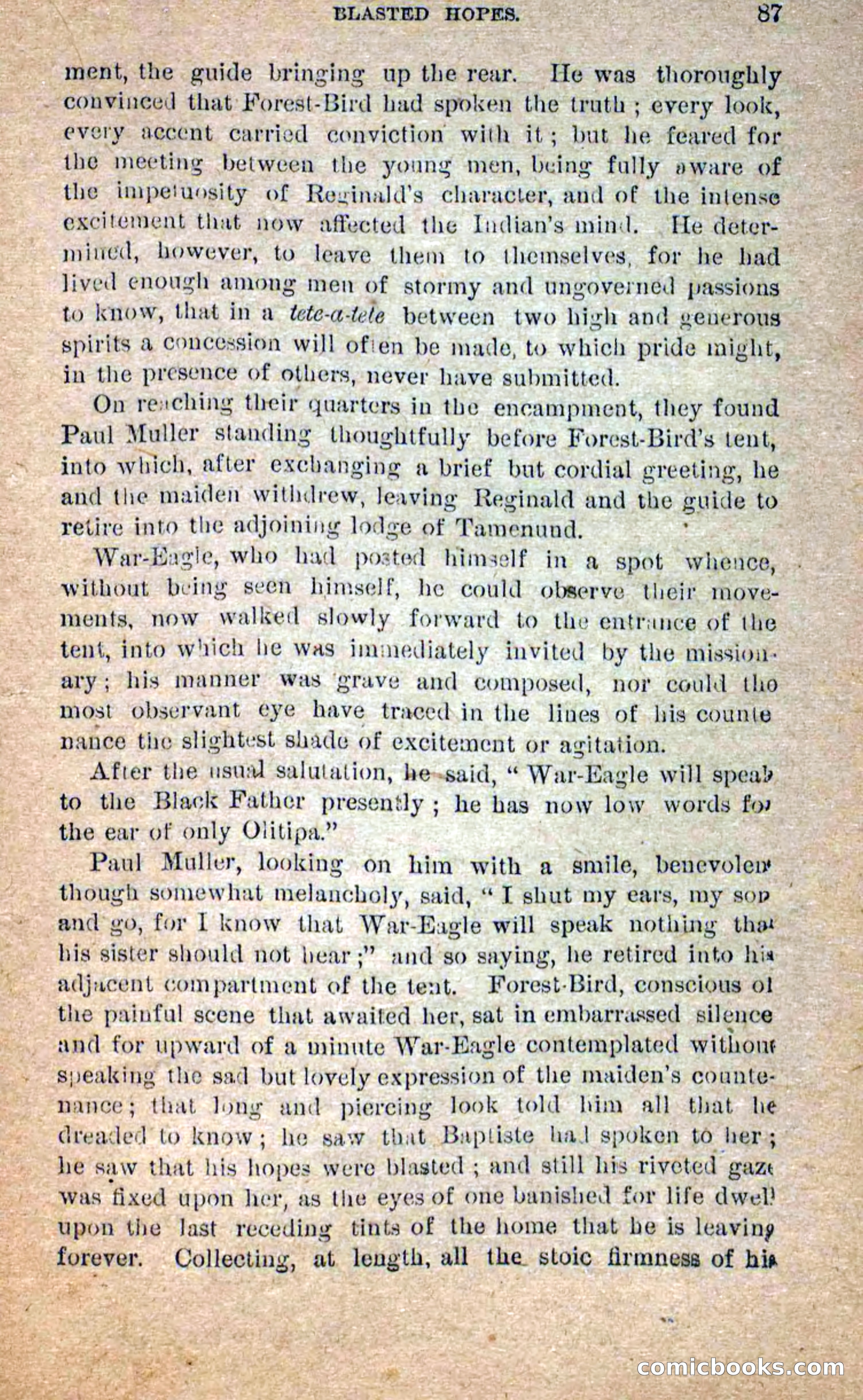Beadle's Dime Novels No. 258: The White Brave — page 85 of 100