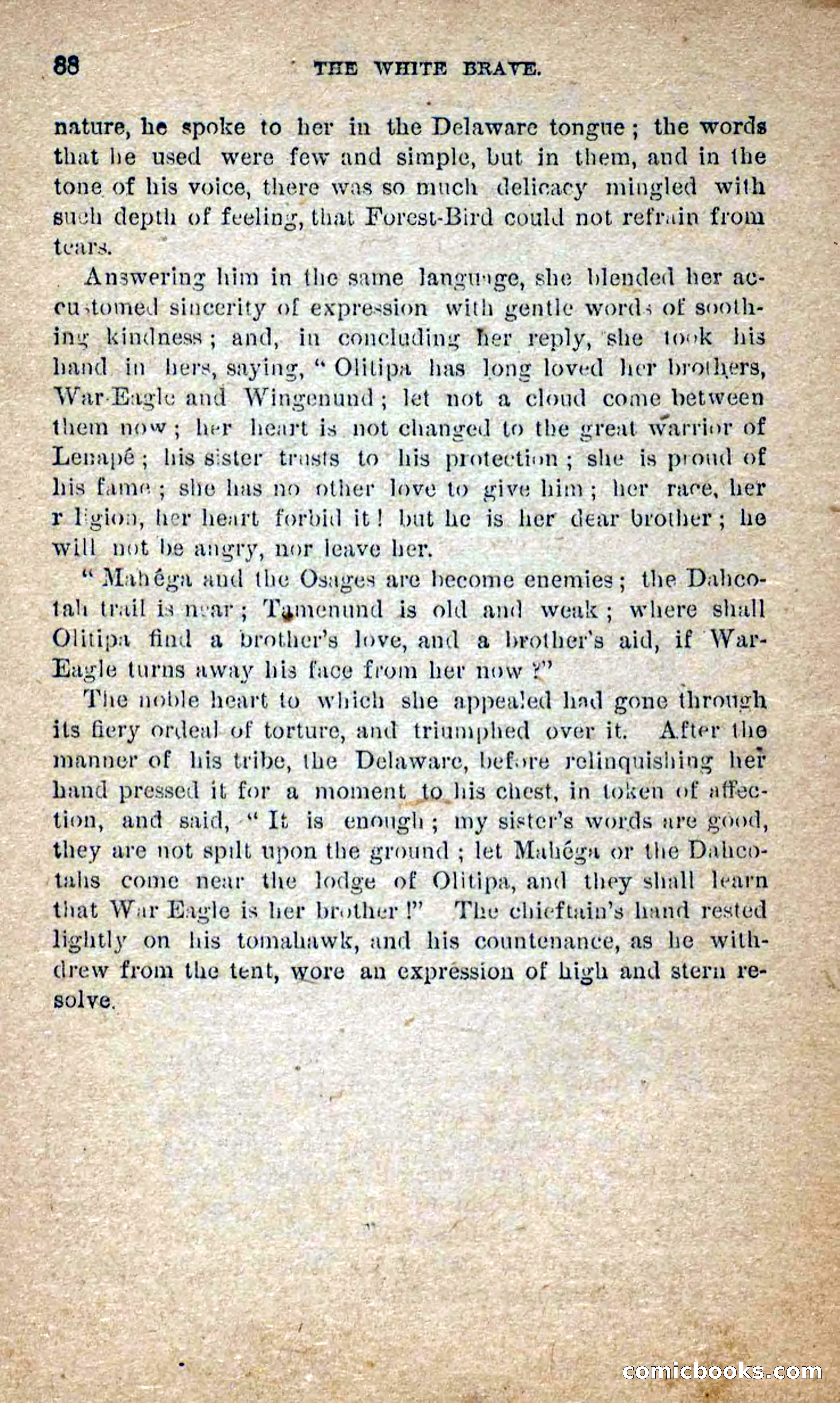 Beadle's Dime Novels No. 258: The White Brave — page 86 of 100
