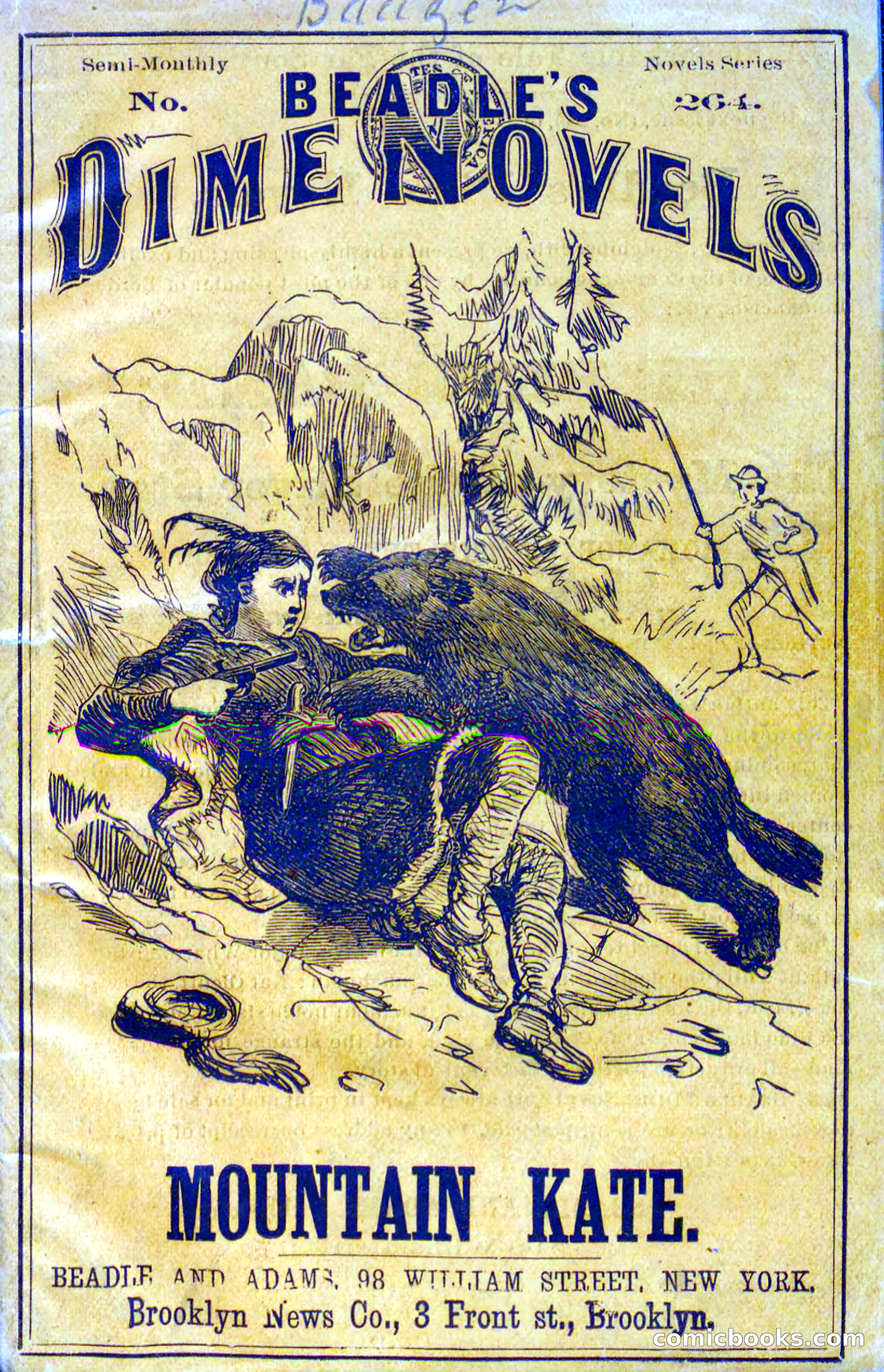 Beadle's Dime Novels No. 264: Mountain Kate — page 1 of 100