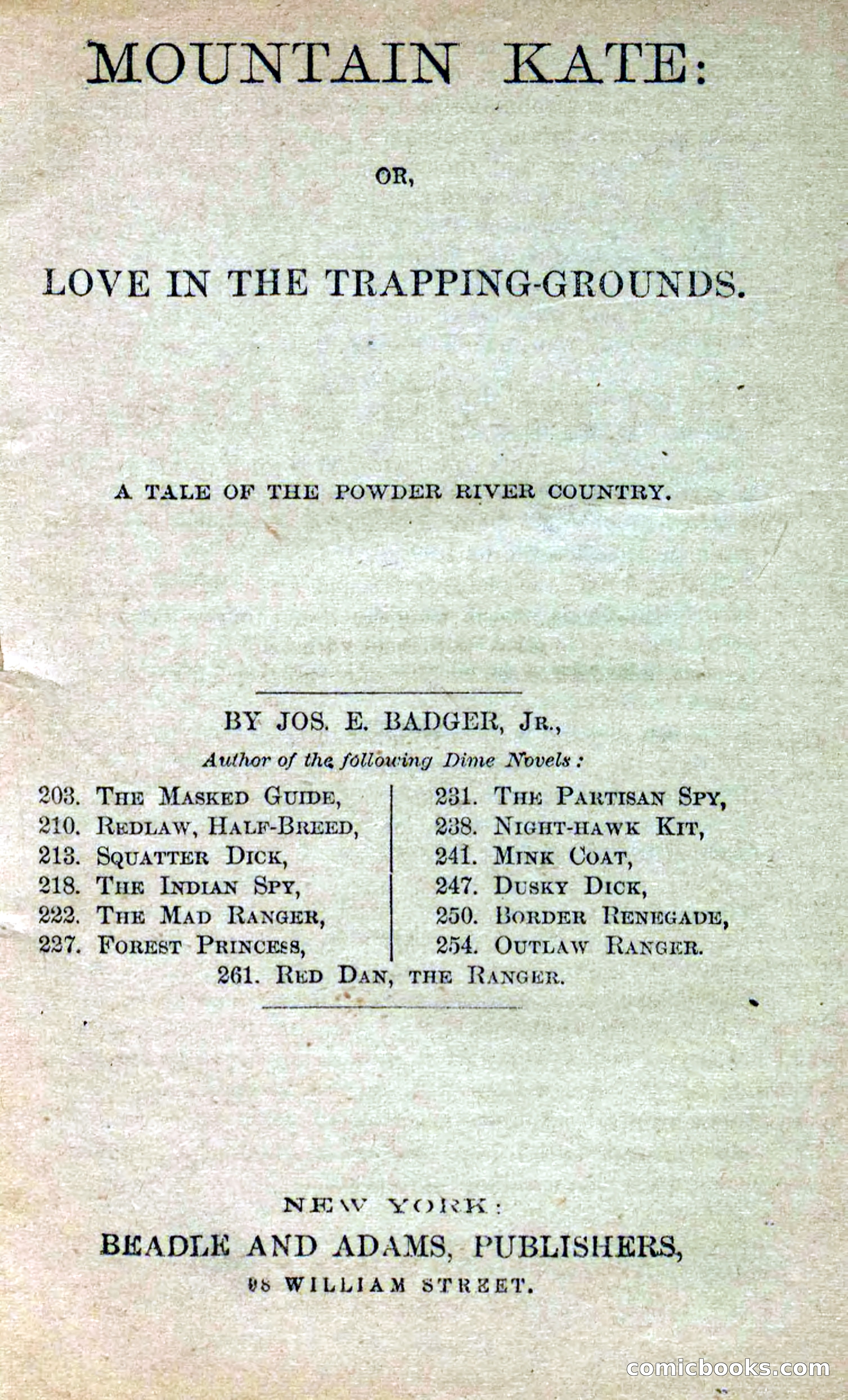 Beadle's Dime Novels No. 264: Mountain Kate — page 3 of 100