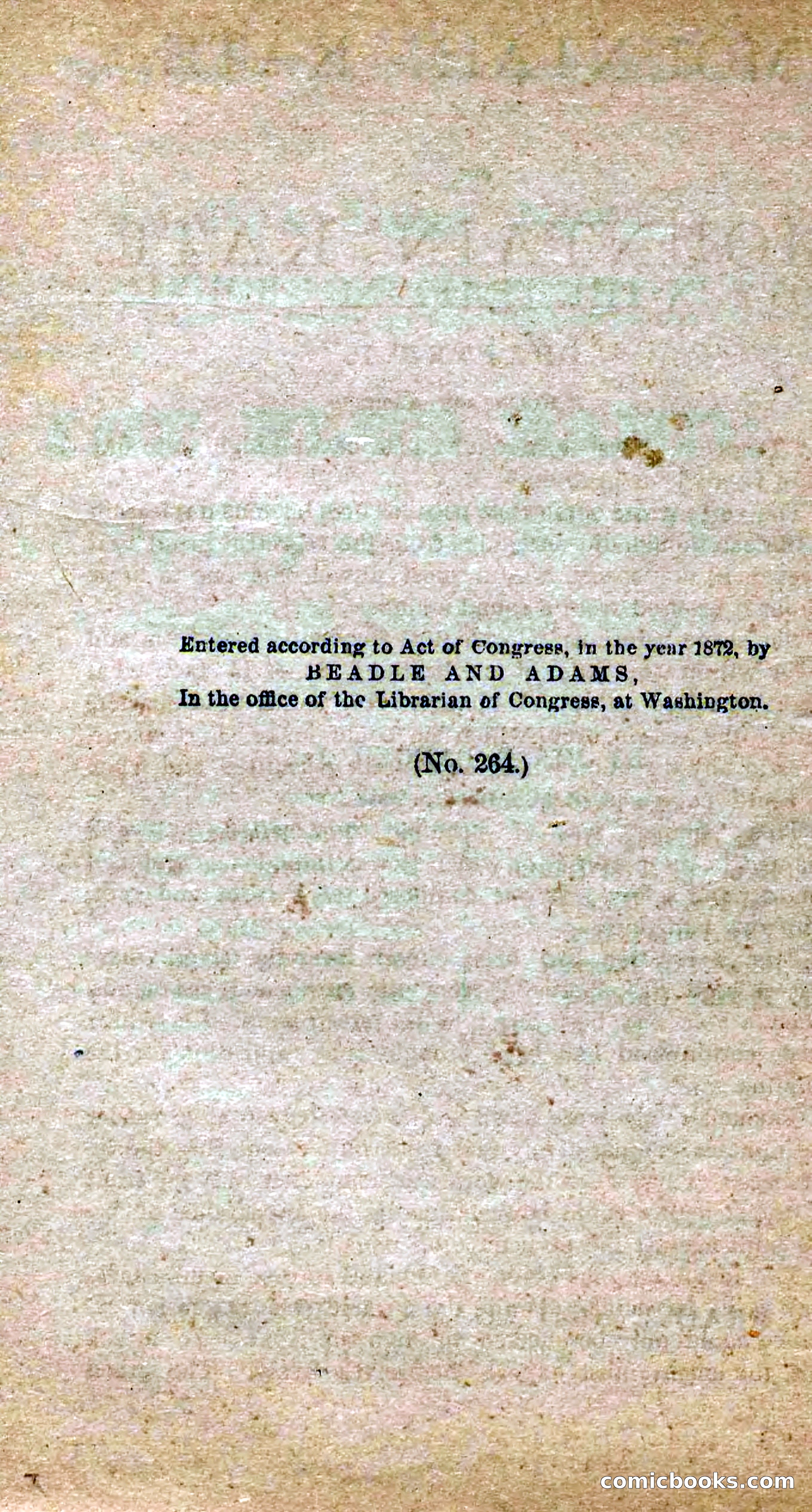 Beadle's Dime Novels No. 264: Mountain Kate — page 4 of 100