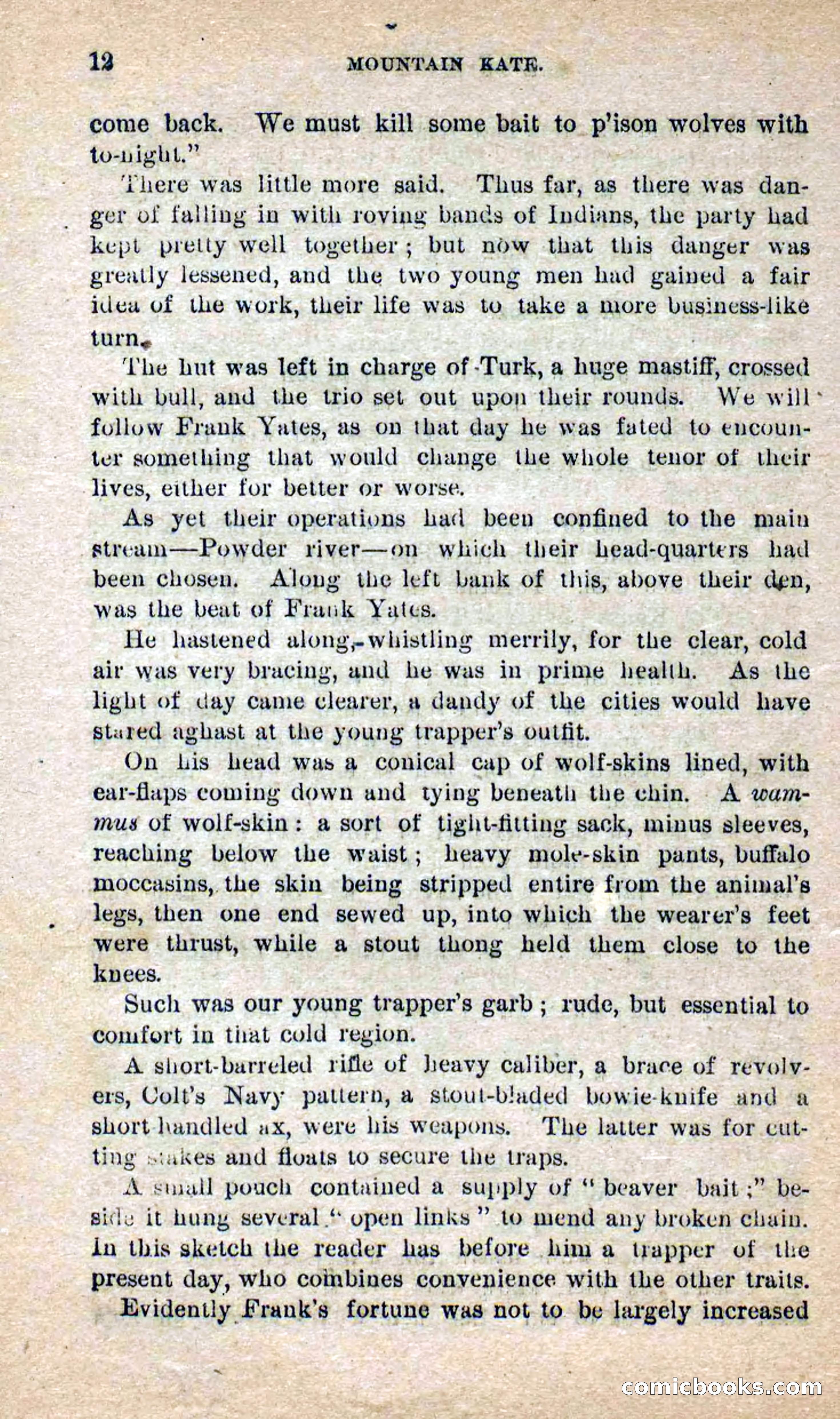 Beadle's Dime Novels No. 264: Mountain Kate — page 8 of 100