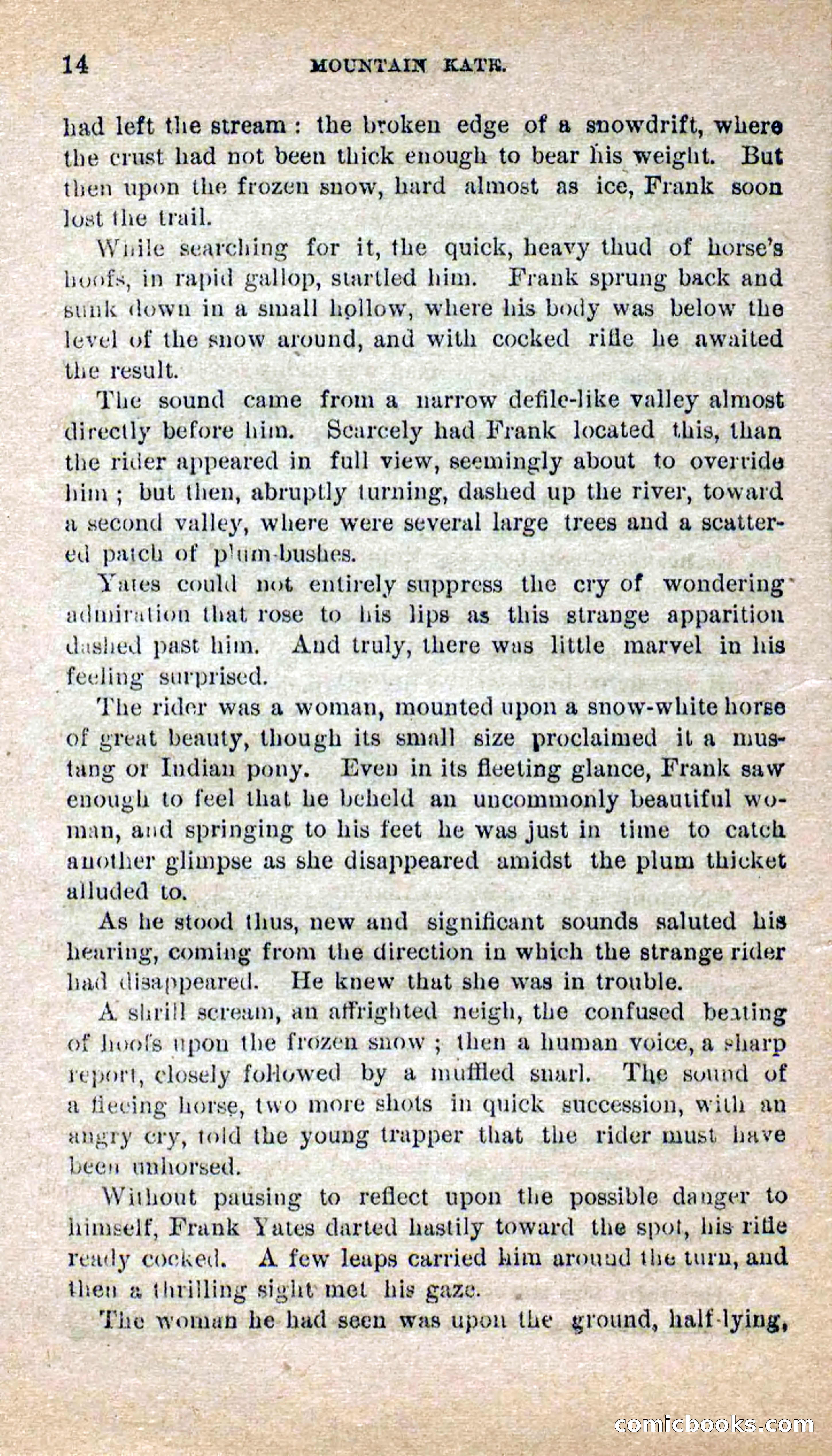 Beadle's Dime Novels No. 264: Mountain Kate — page 10 of 100