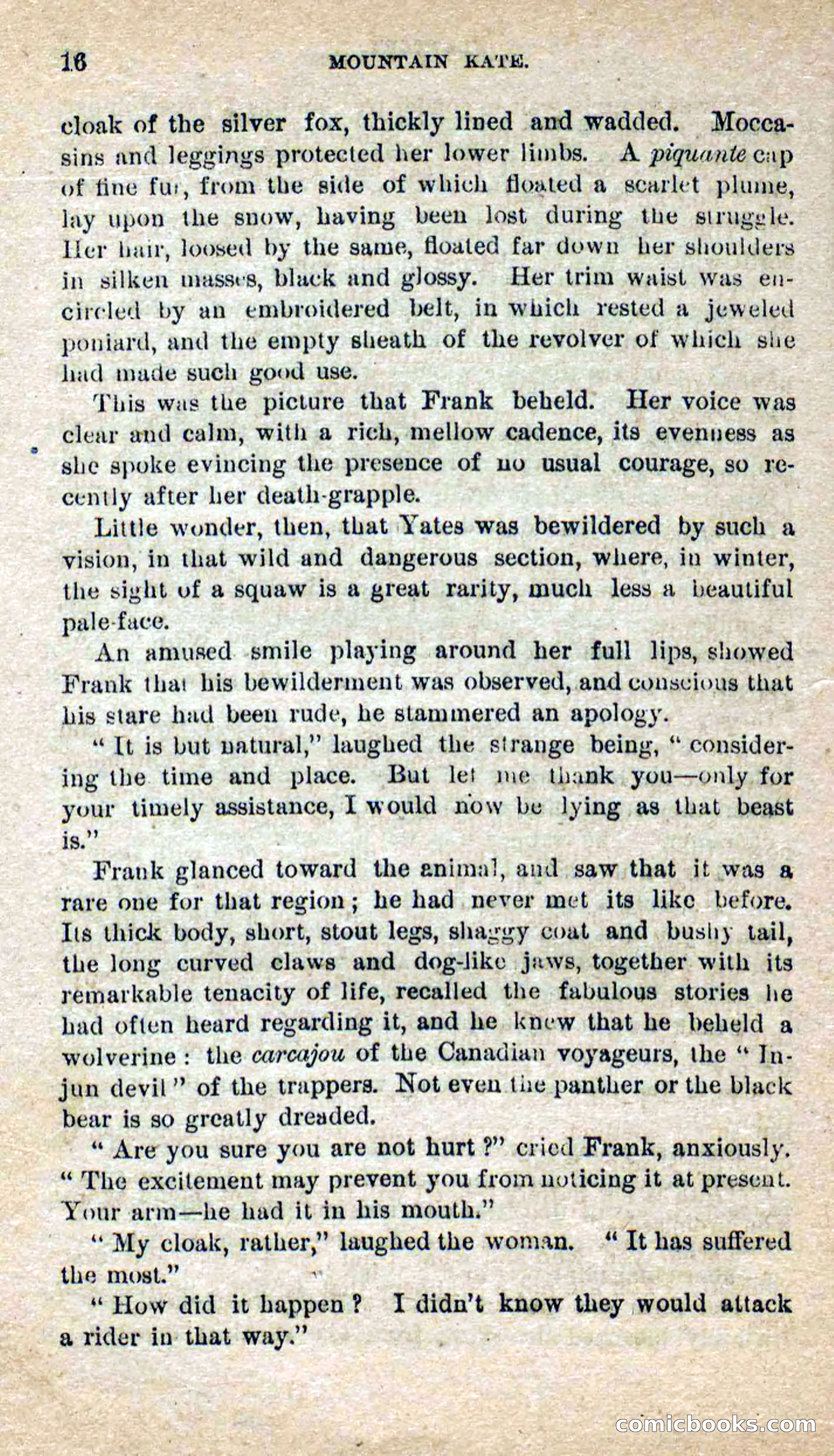 Beadle's Dime Novels No. 264: Mountain Kate — page 12 of 100