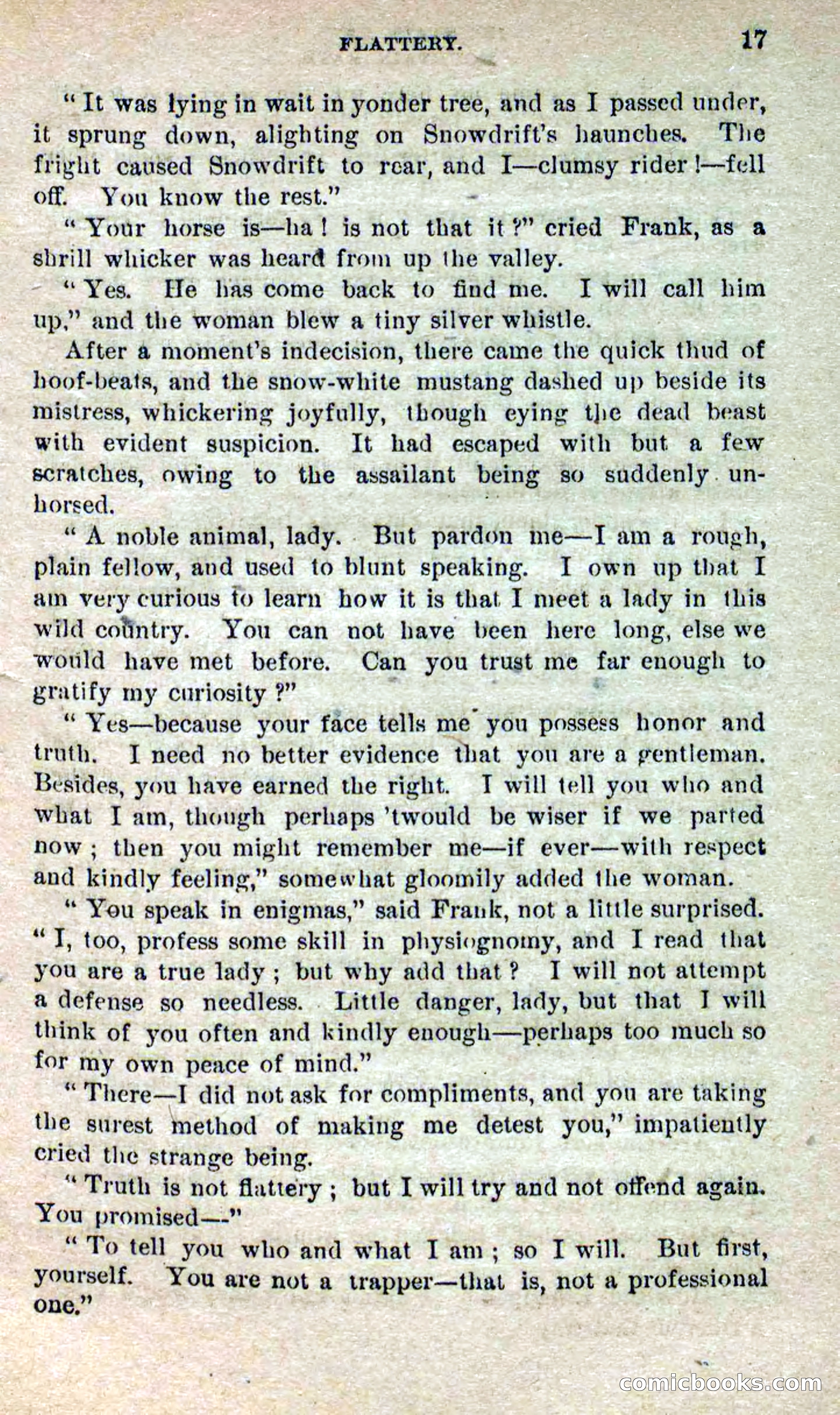 Beadle's Dime Novels No. 264: Mountain Kate — page 13 of 100