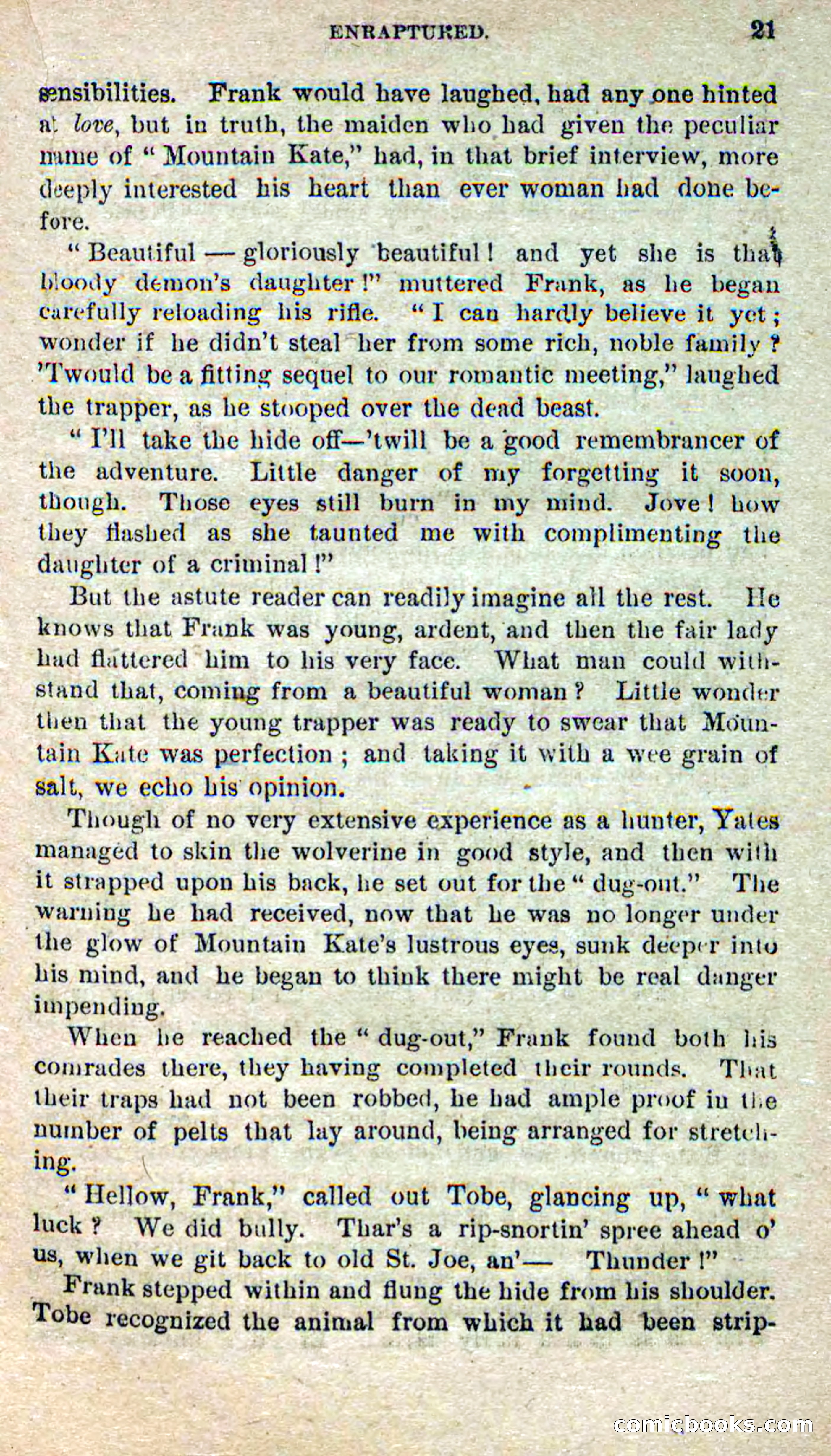 Beadle's Dime Novels No. 264: Mountain Kate — page 17 of 100