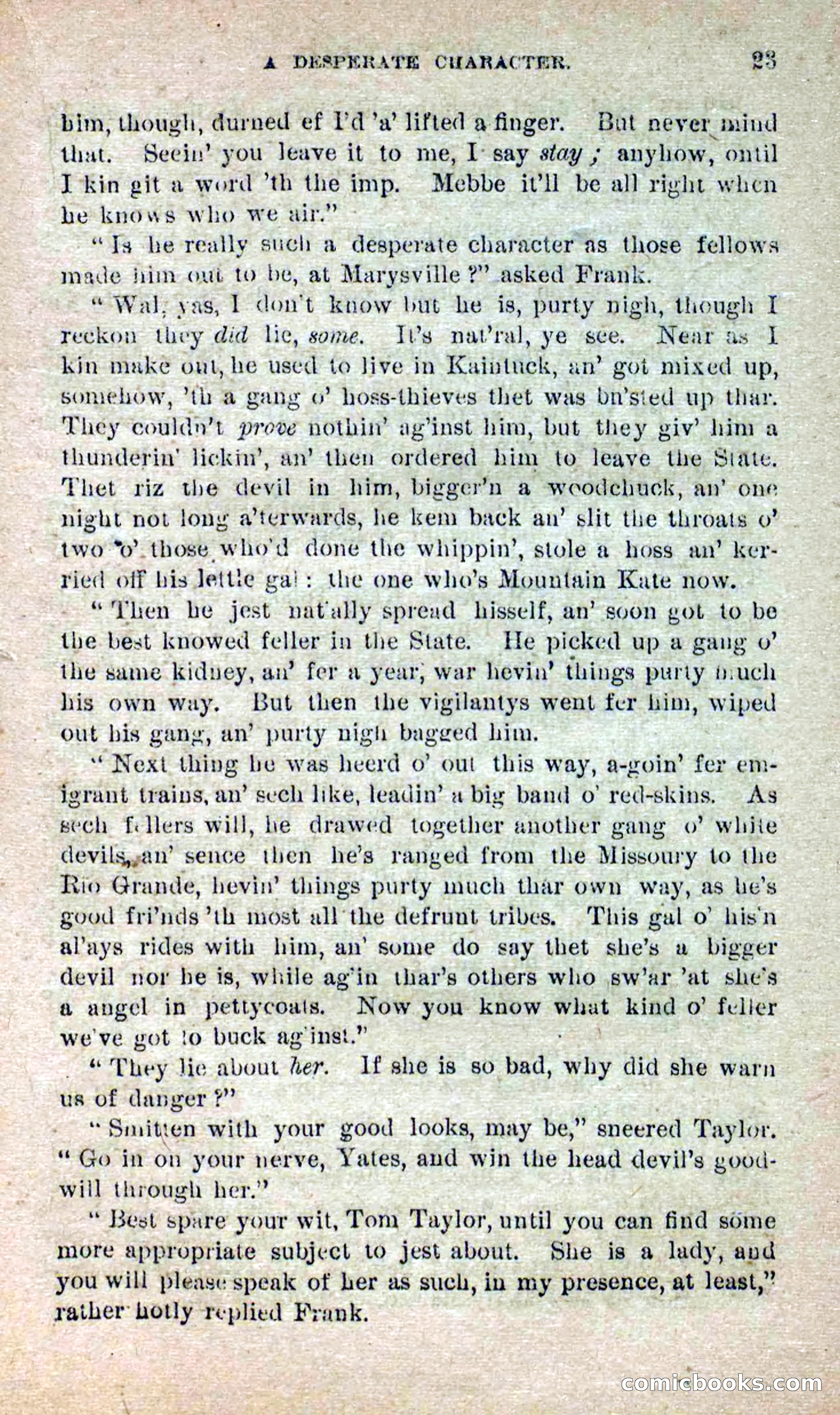 Beadle's Dime Novels No. 264: Mountain Kate — page 19 of 100