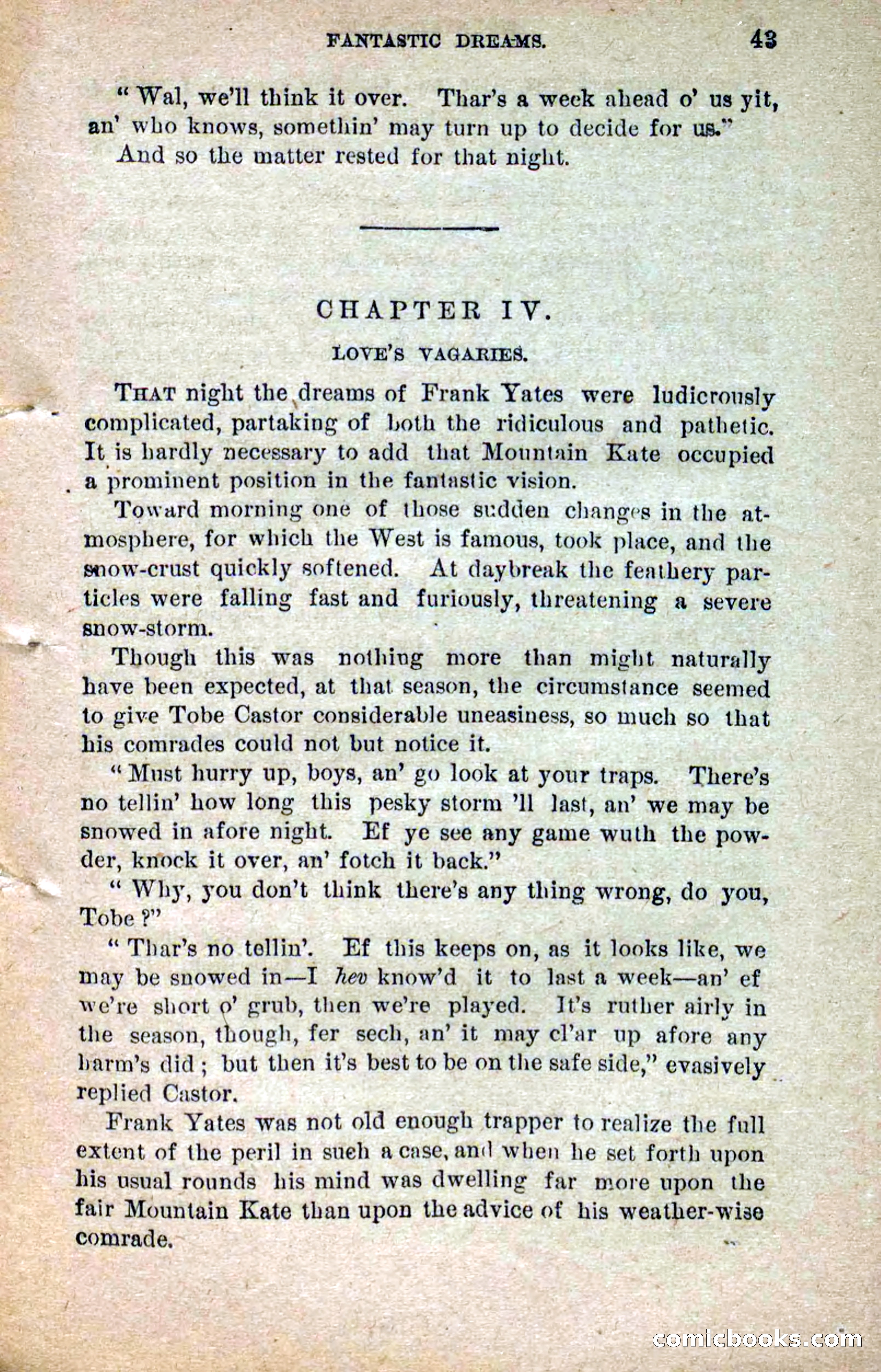 Beadle's Dime Novels No. 264: Mountain Kate — page 39 of 100