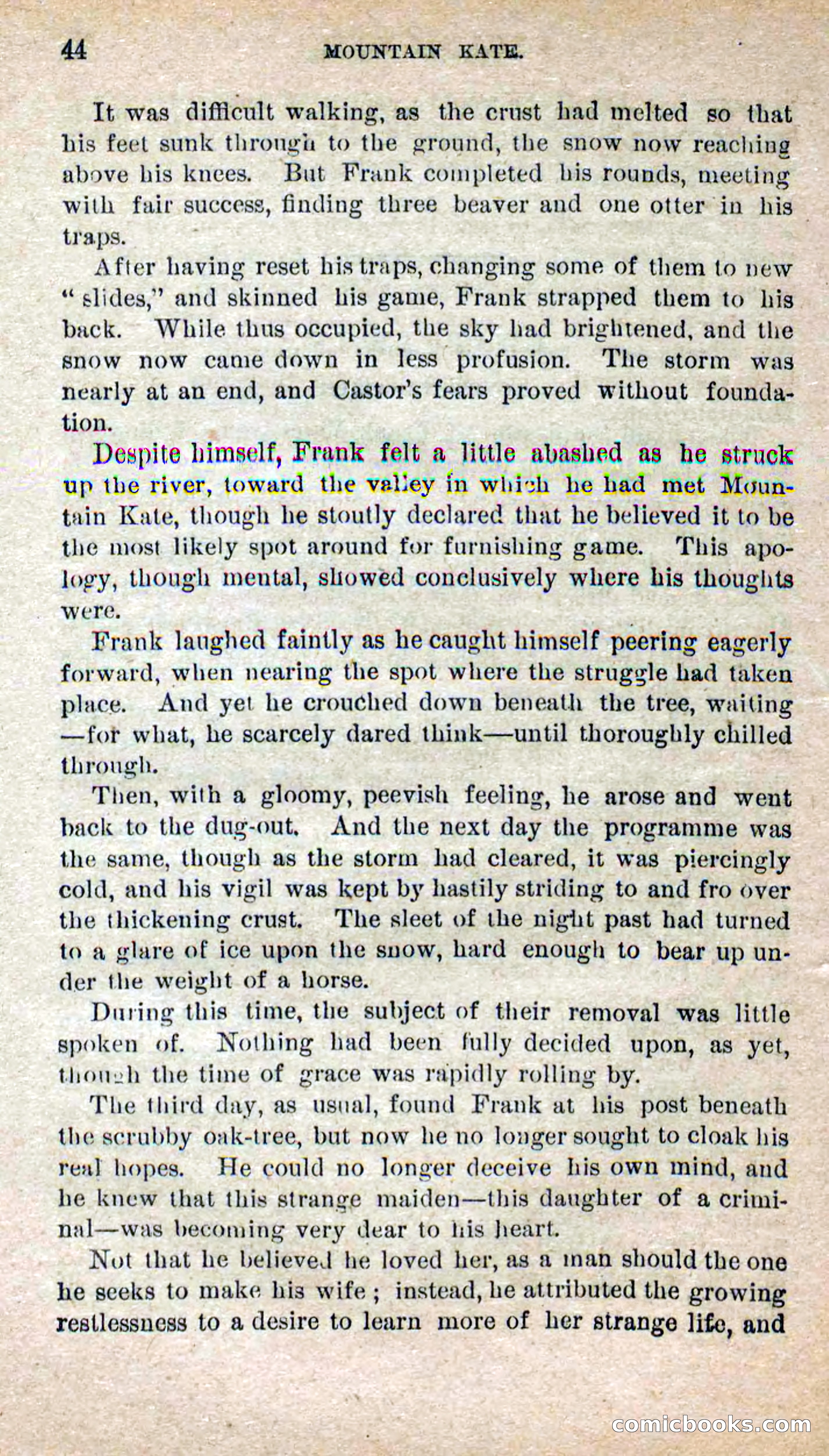 Beadle's Dime Novels No. 264: Mountain Kate — page 40 of 100