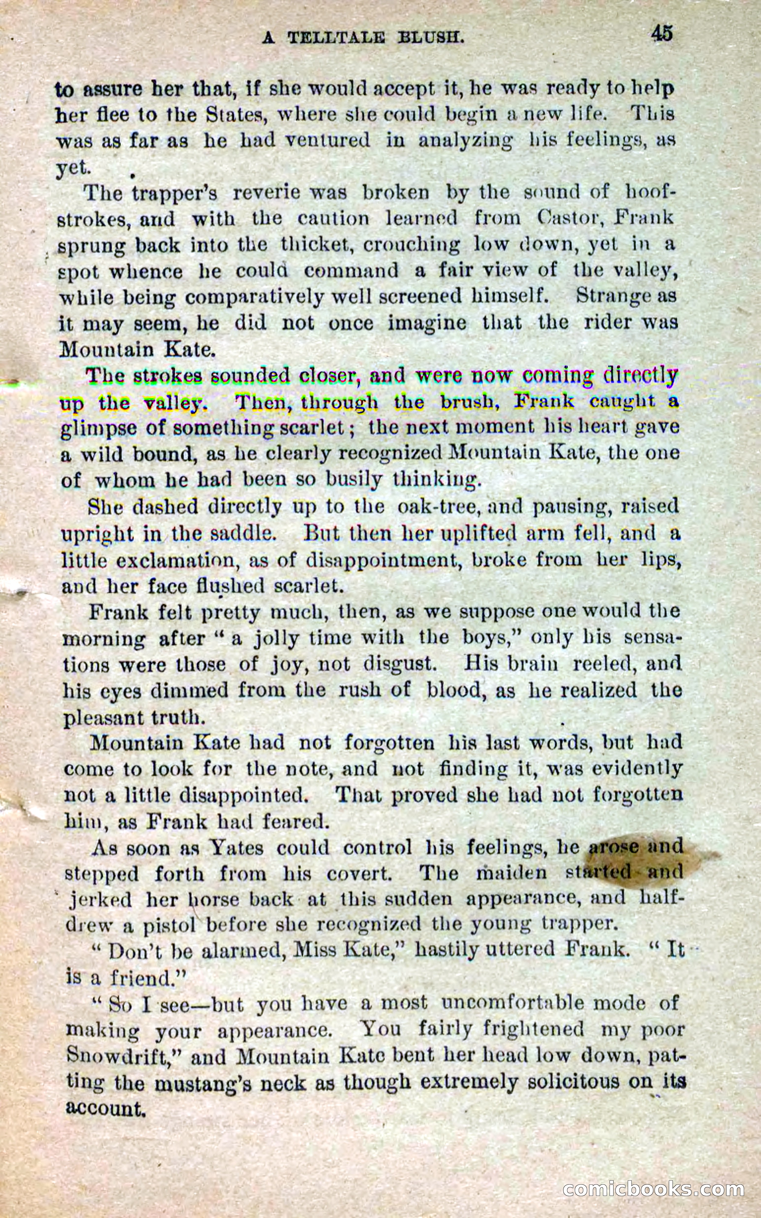 Beadle's Dime Novels No. 264: Mountain Kate — page 41 of 100