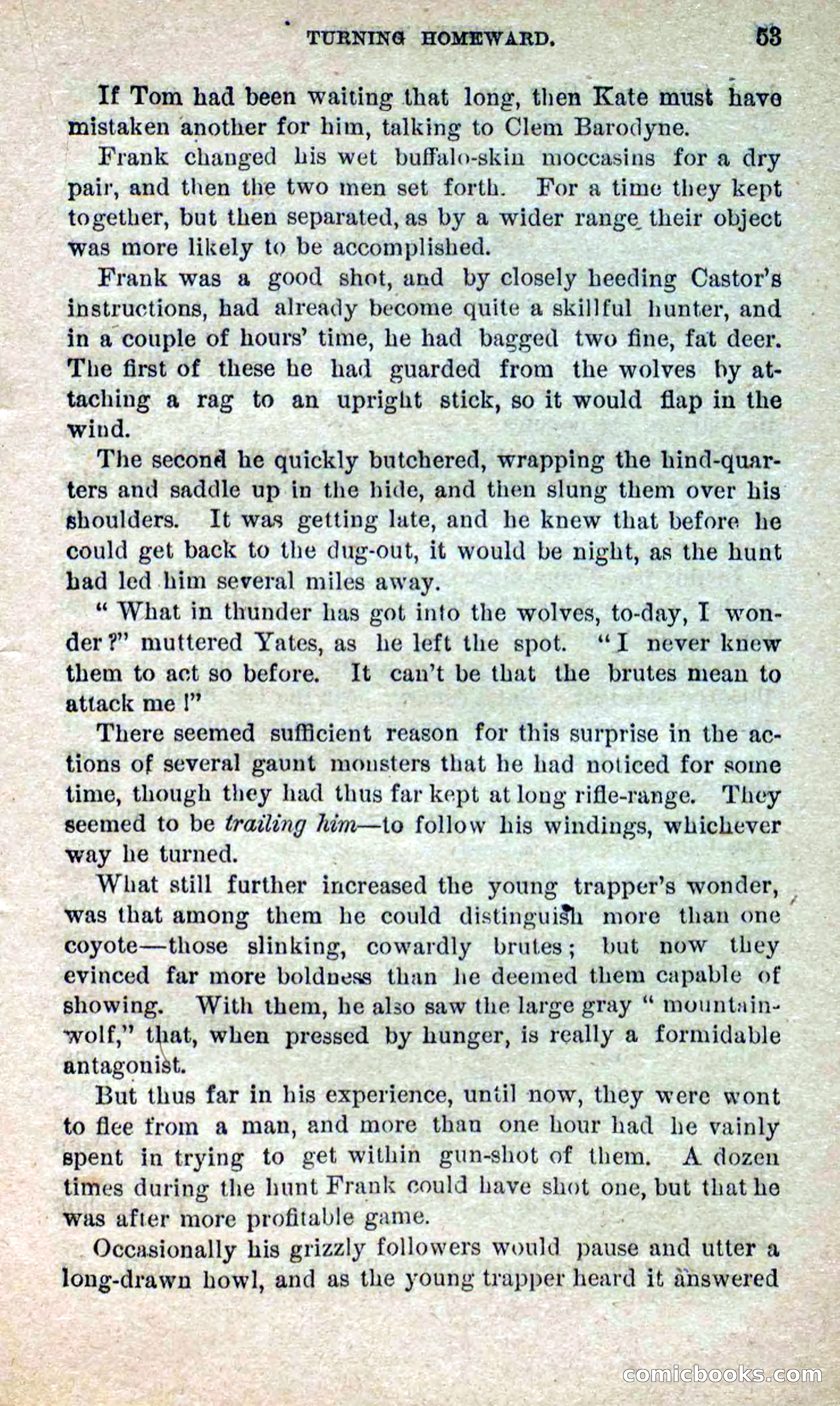 Beadle's Dime Novels No. 264: Mountain Kate — page 49 of 100