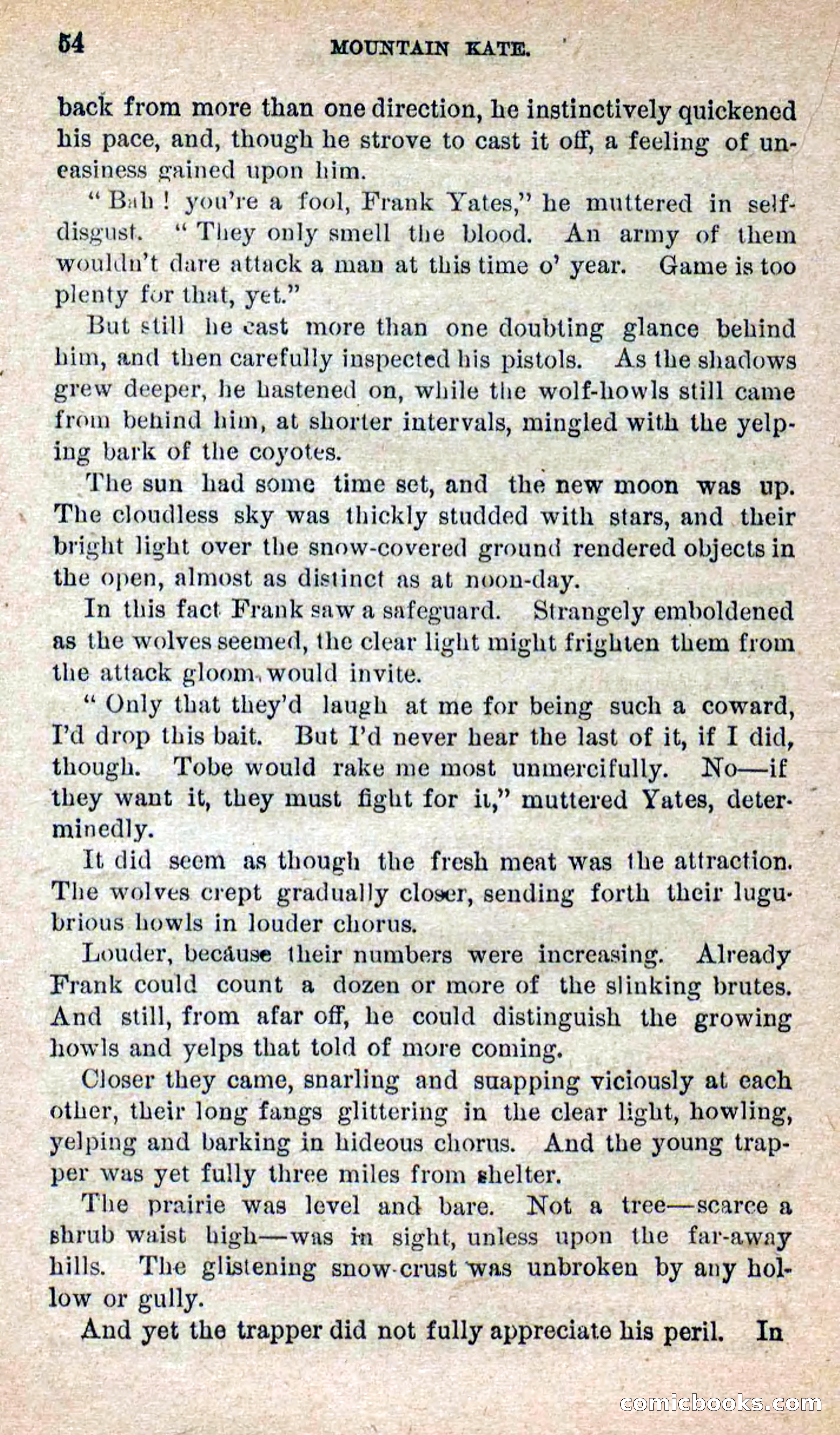 Beadle's Dime Novels No. 264: Mountain Kate — page 50 of 100