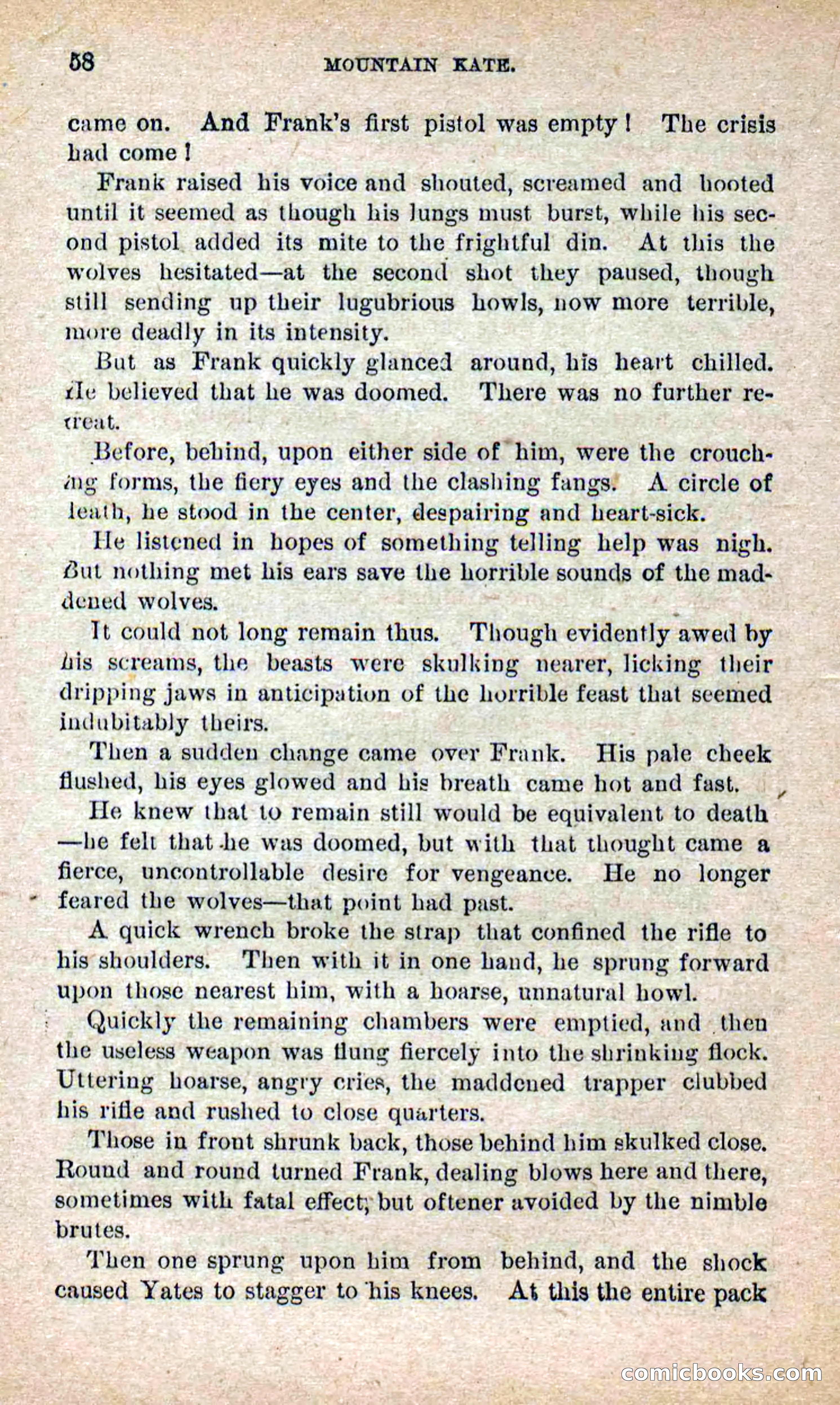 Beadle's Dime Novels No. 264: Mountain Kate — page 54 of 100