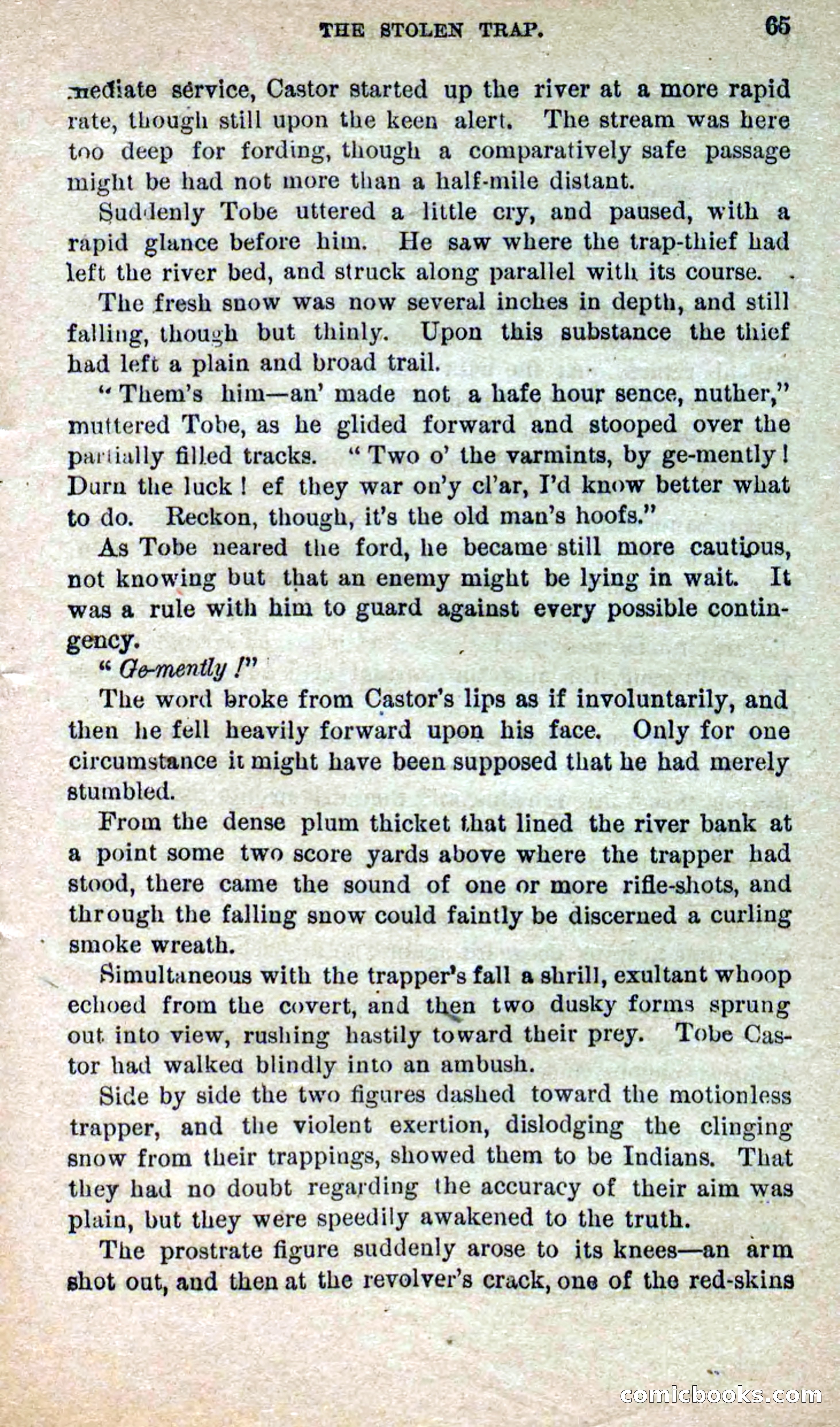 Beadle's Dime Novels No. 264: Mountain Kate — page 61 of 100