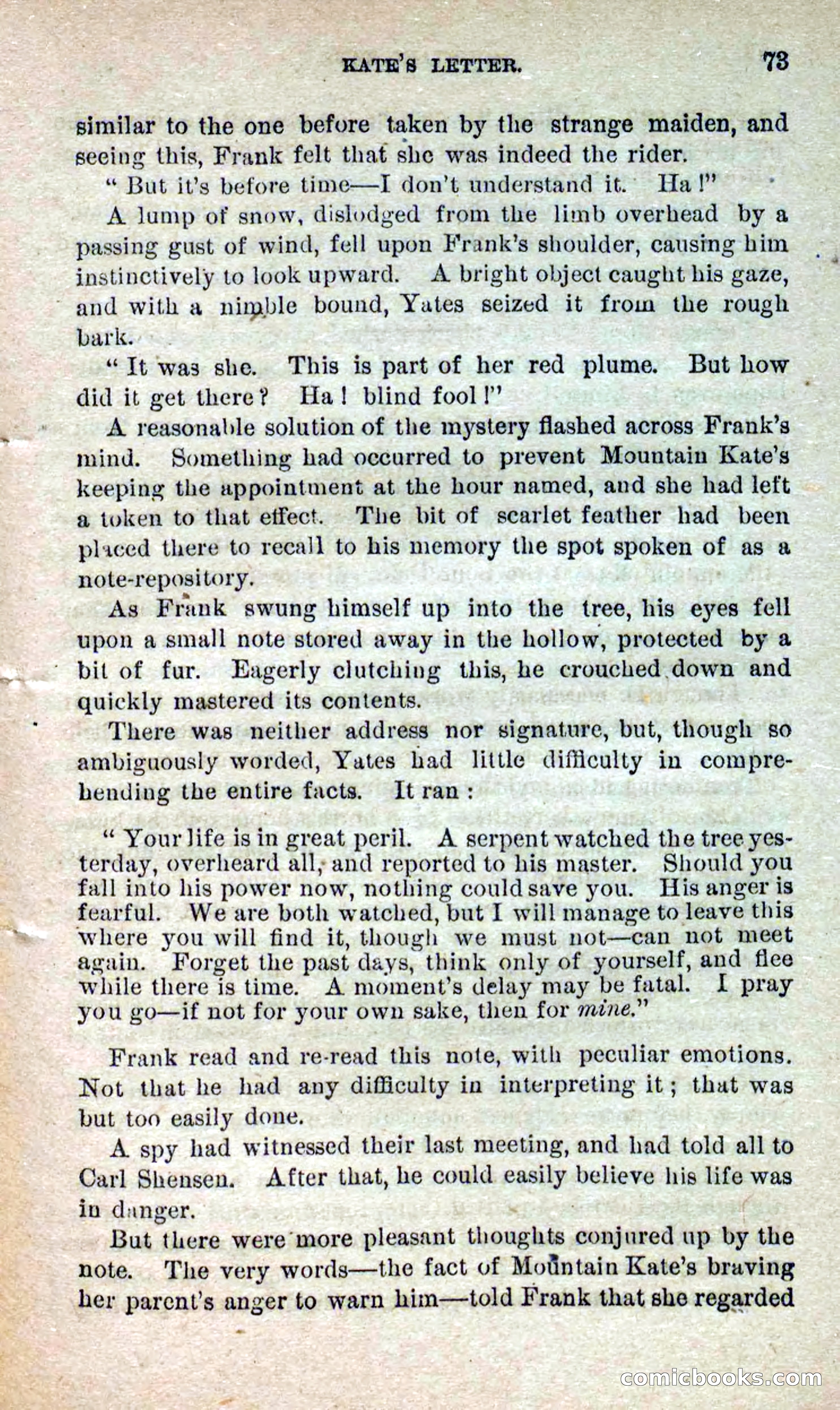 Beadle's Dime Novels No. 264: Mountain Kate — page 69 of 100