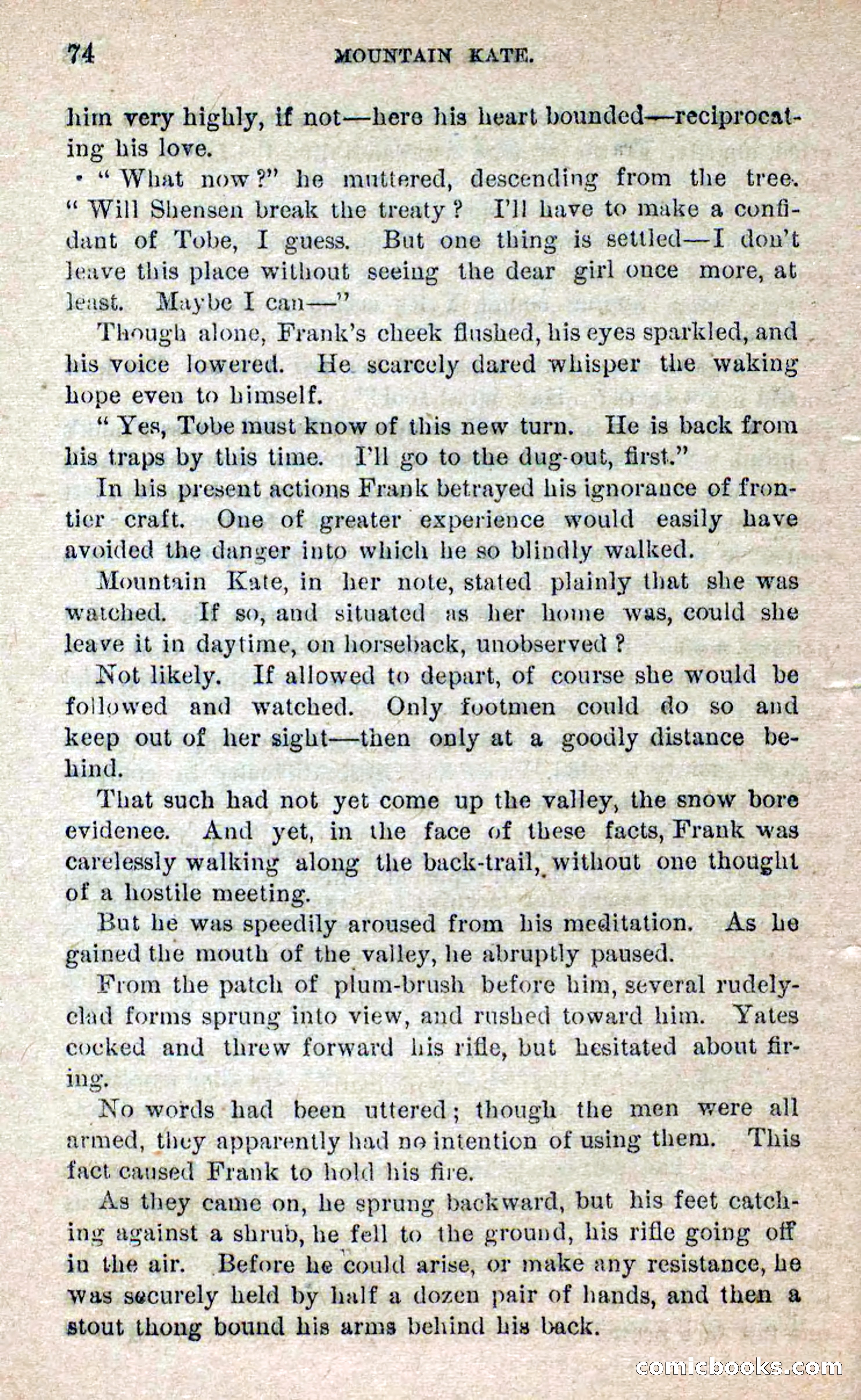 Beadle's Dime Novels No. 264: Mountain Kate — page 70 of 100