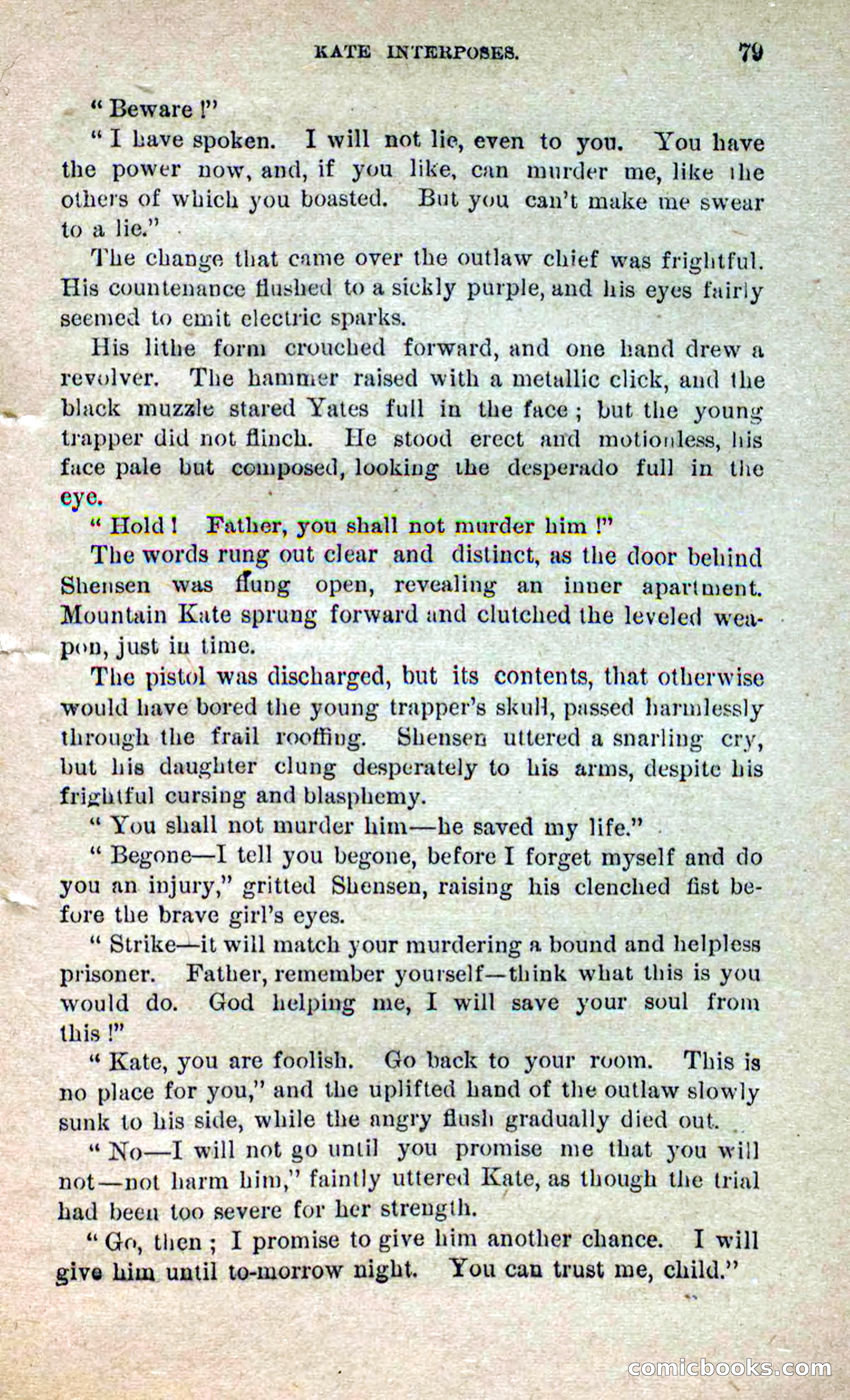 Beadle's Dime Novels No. 264: Mountain Kate — page 75 of 100