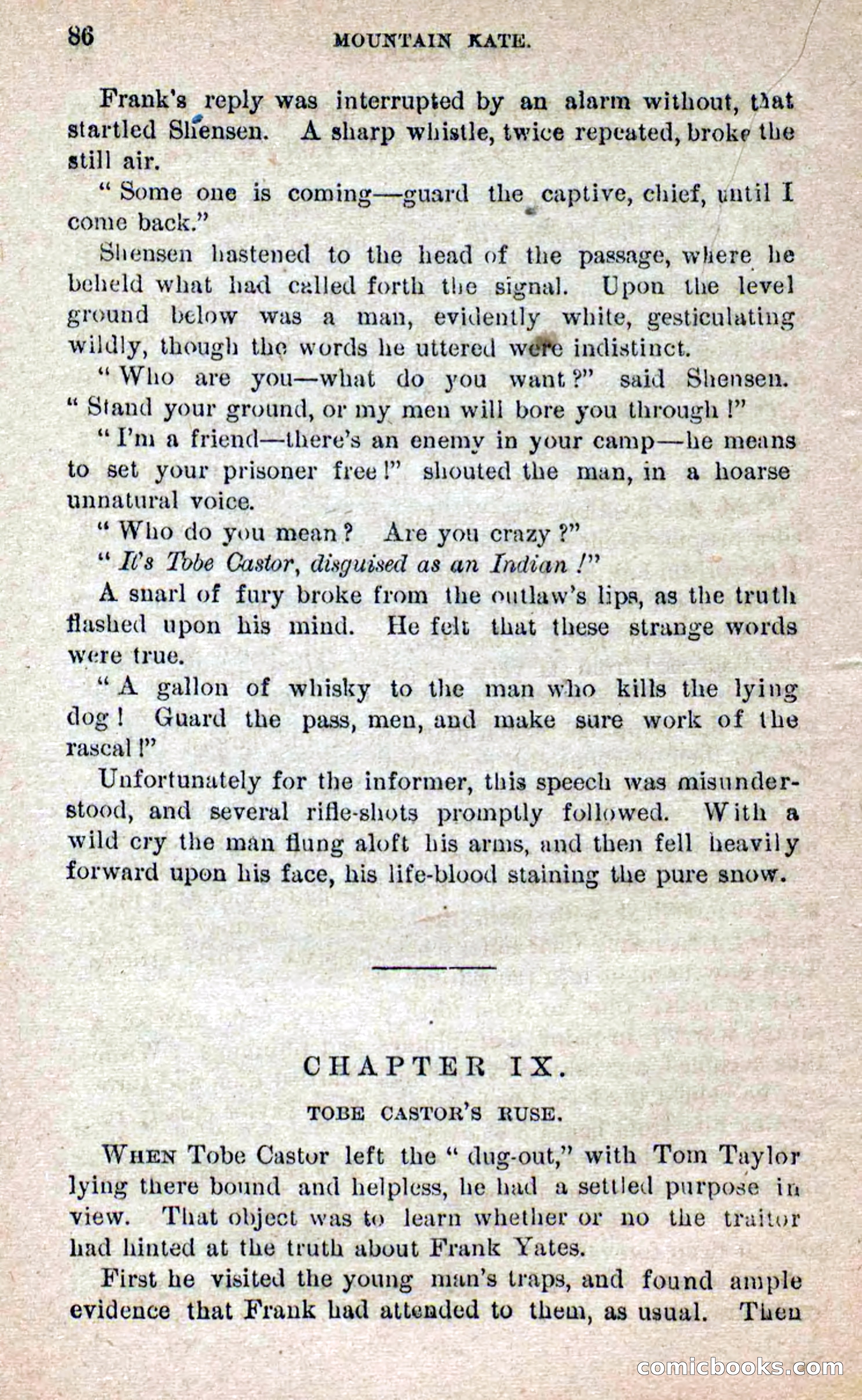 Beadle's Dime Novels No. 264: Mountain Kate — page 82 of 100