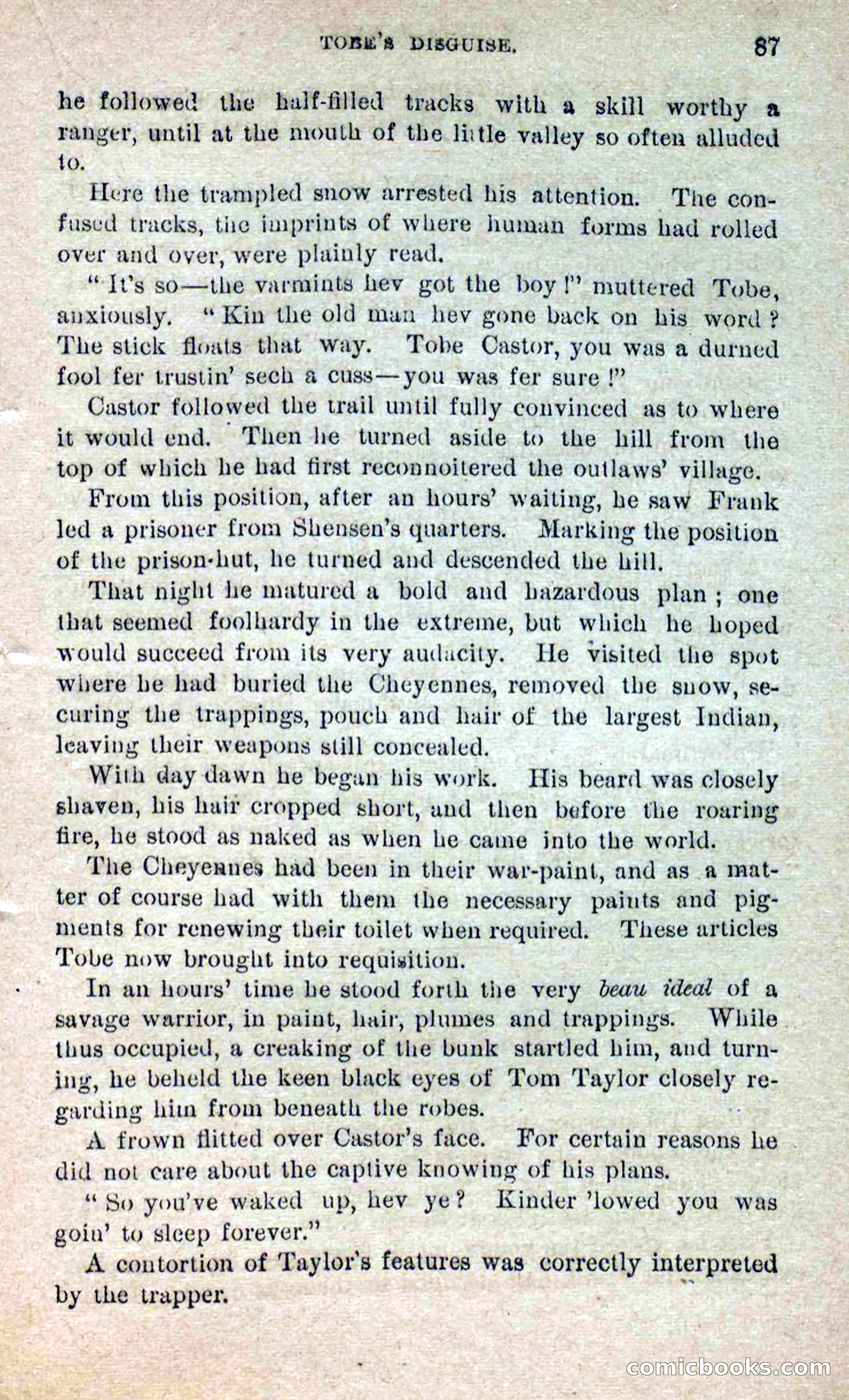 Beadle's Dime Novels No. 264: Mountain Kate — page 83 of 100